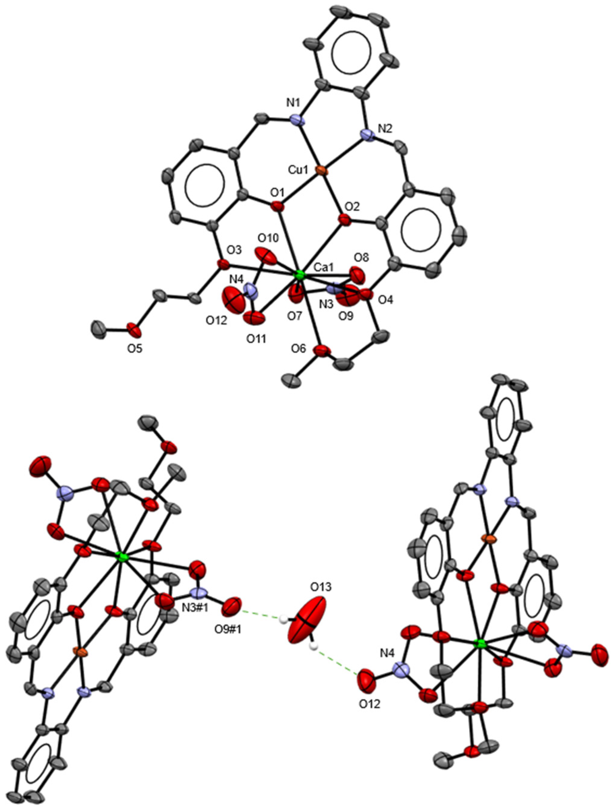Molbank 2025 m2092 g001