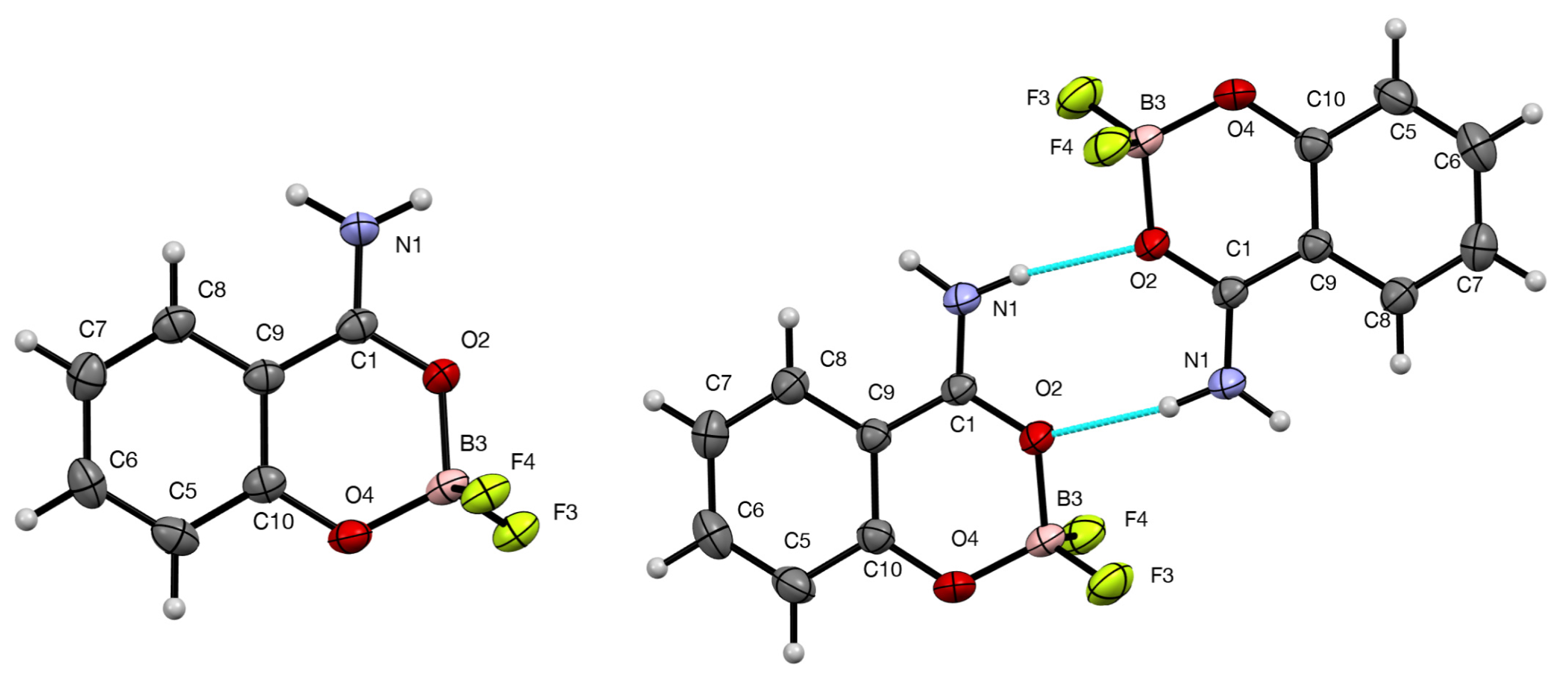 Molbank 2025 m2093 g003