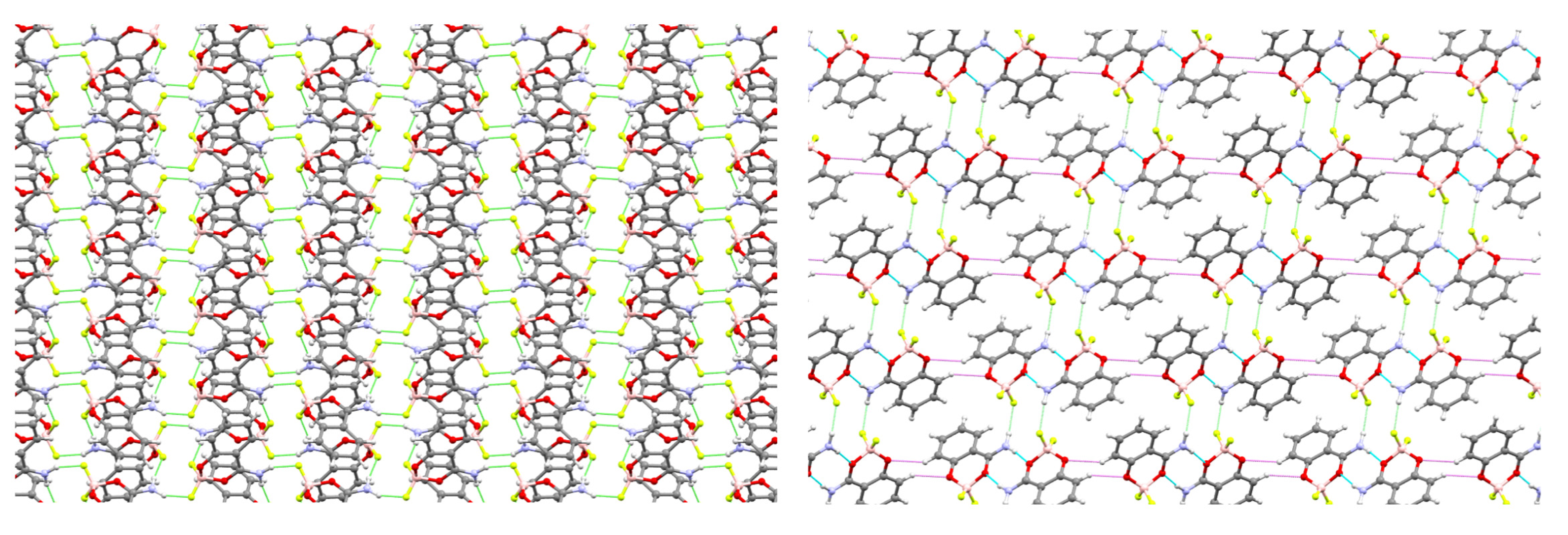 Molbank 2025 m2093 g005