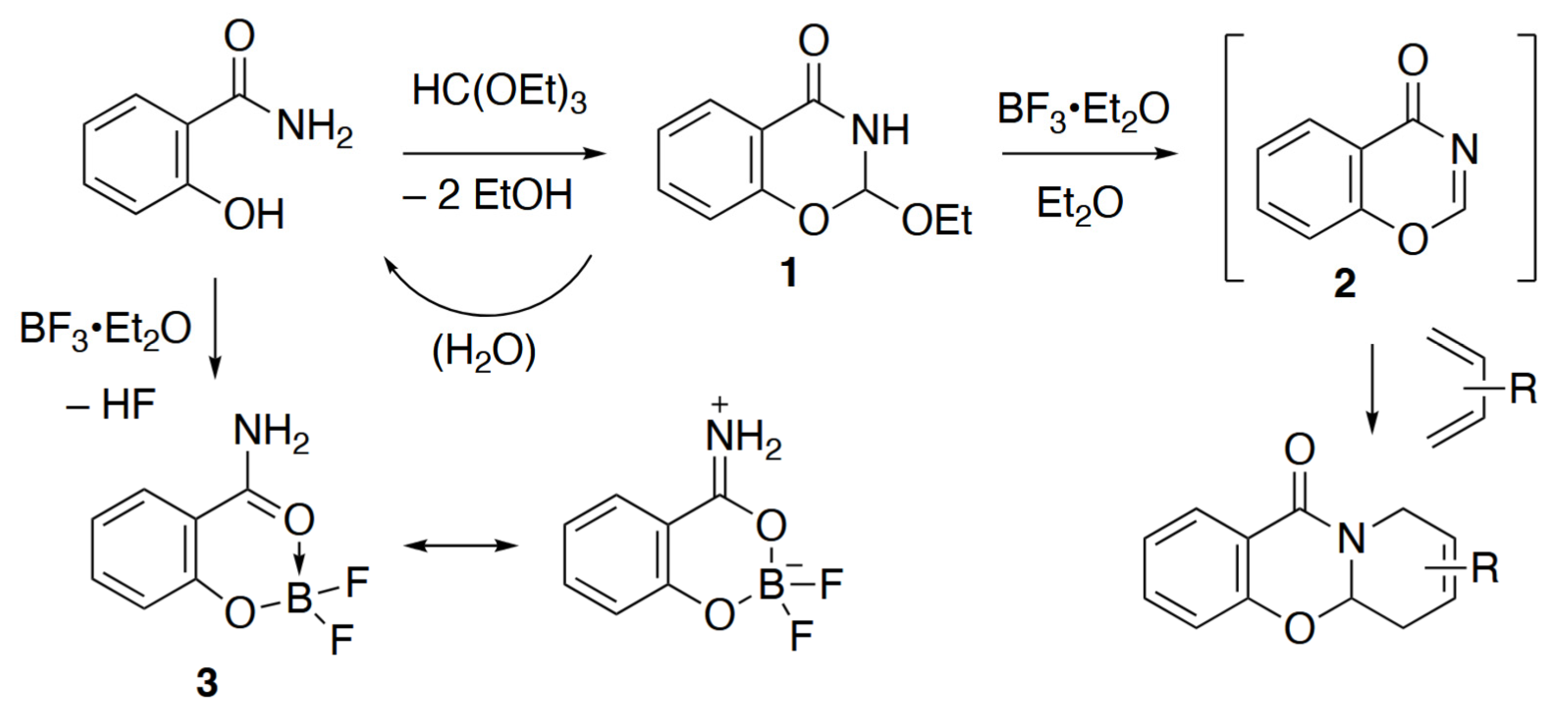 Molbank 2025 m2093 sch001