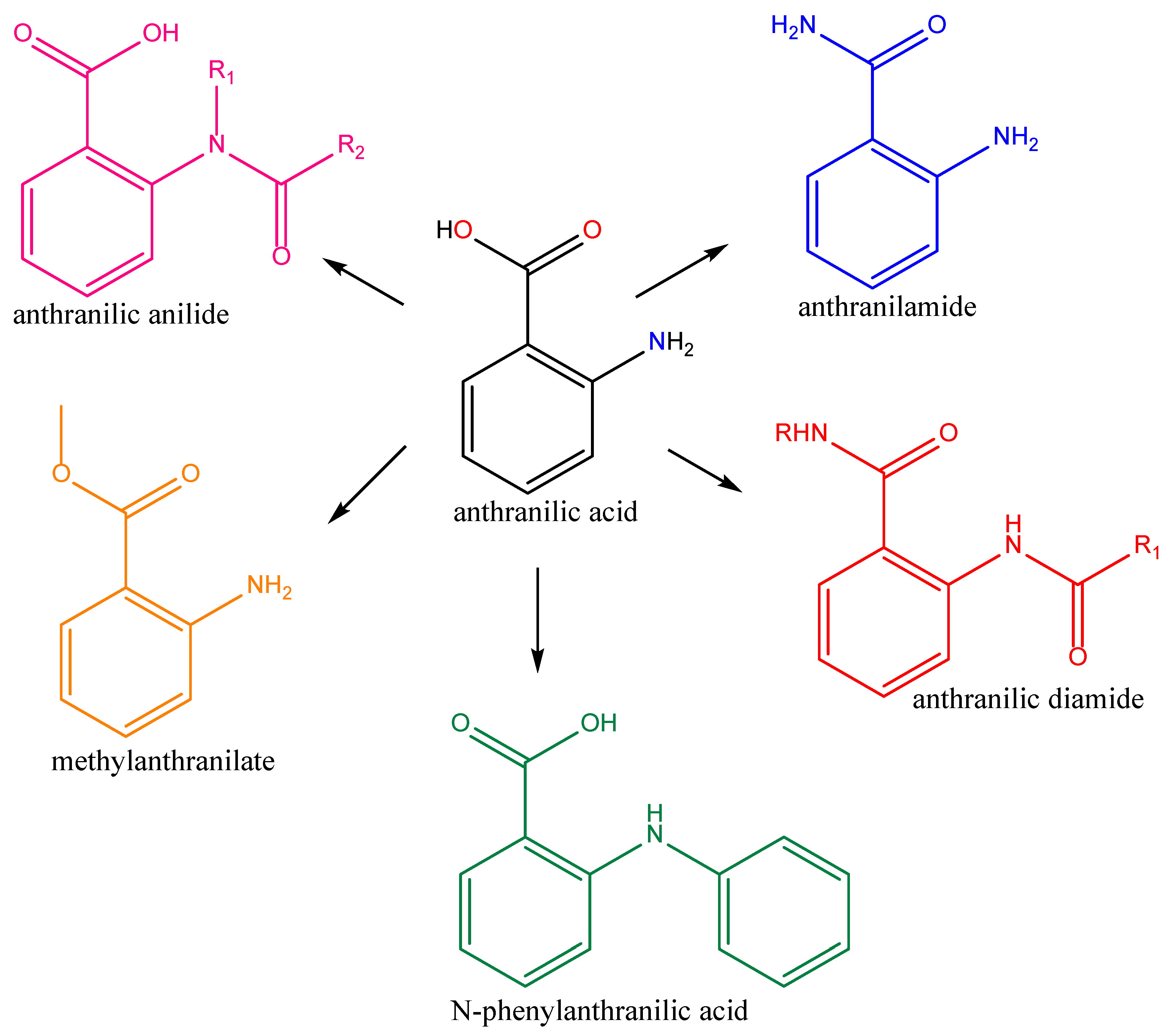 Molbank 2025 m2094 g001