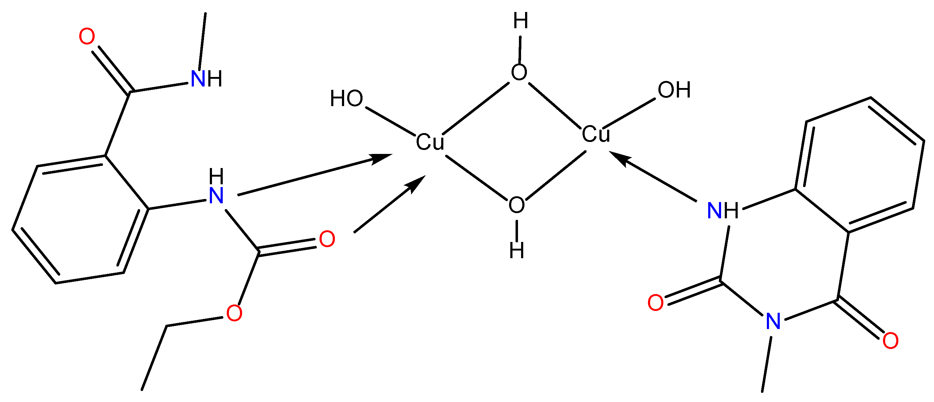 Molbank 2025 m2094 g004
