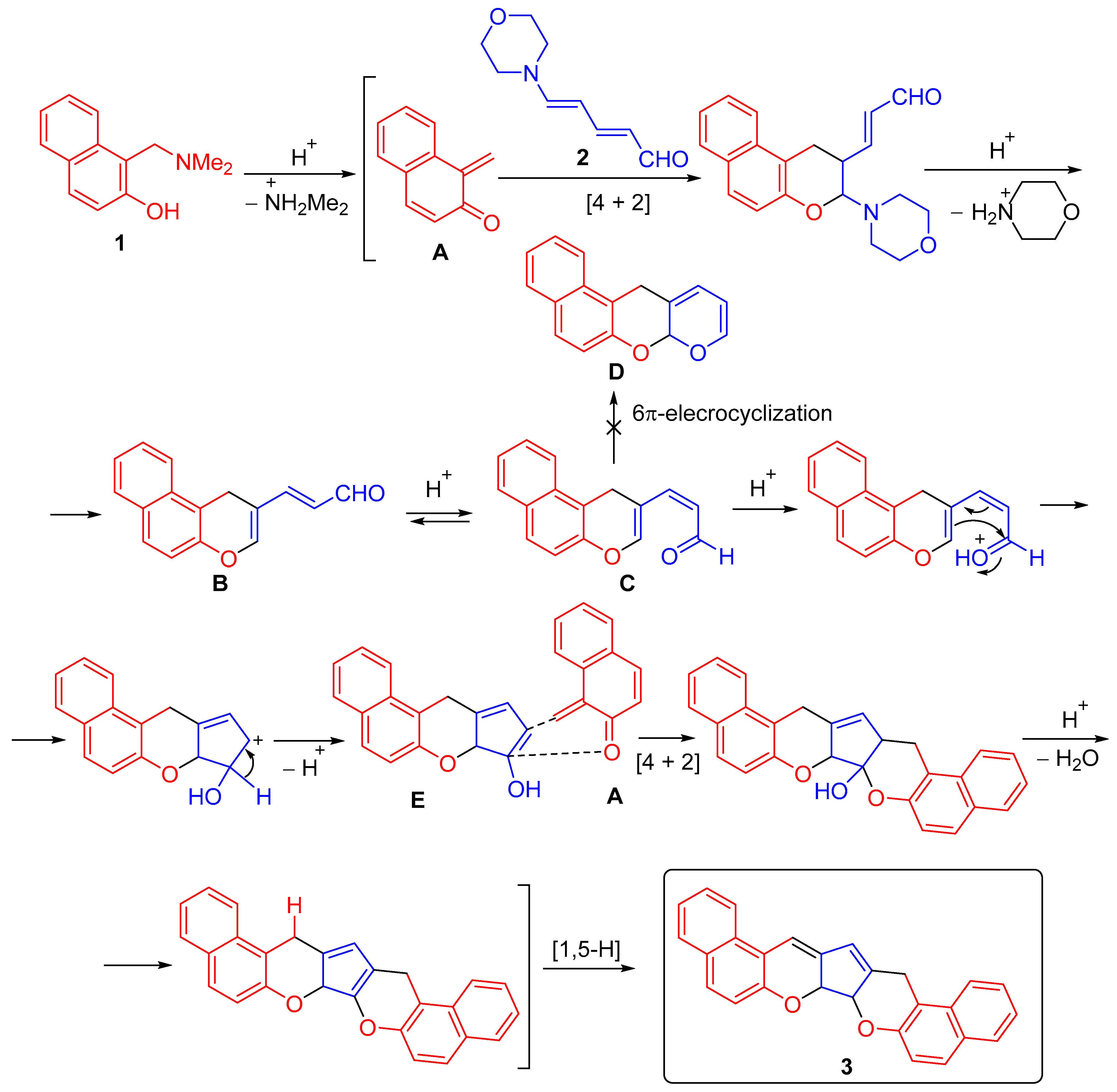 Molbank 2025 m2096 sch002