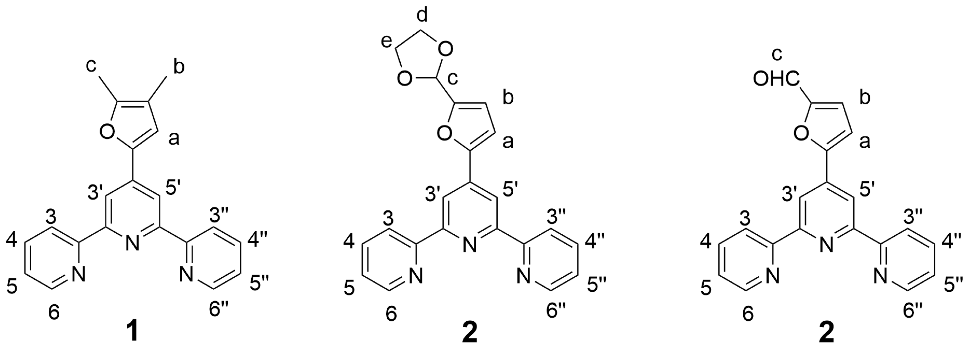 Molbank 2025 m2098 g001