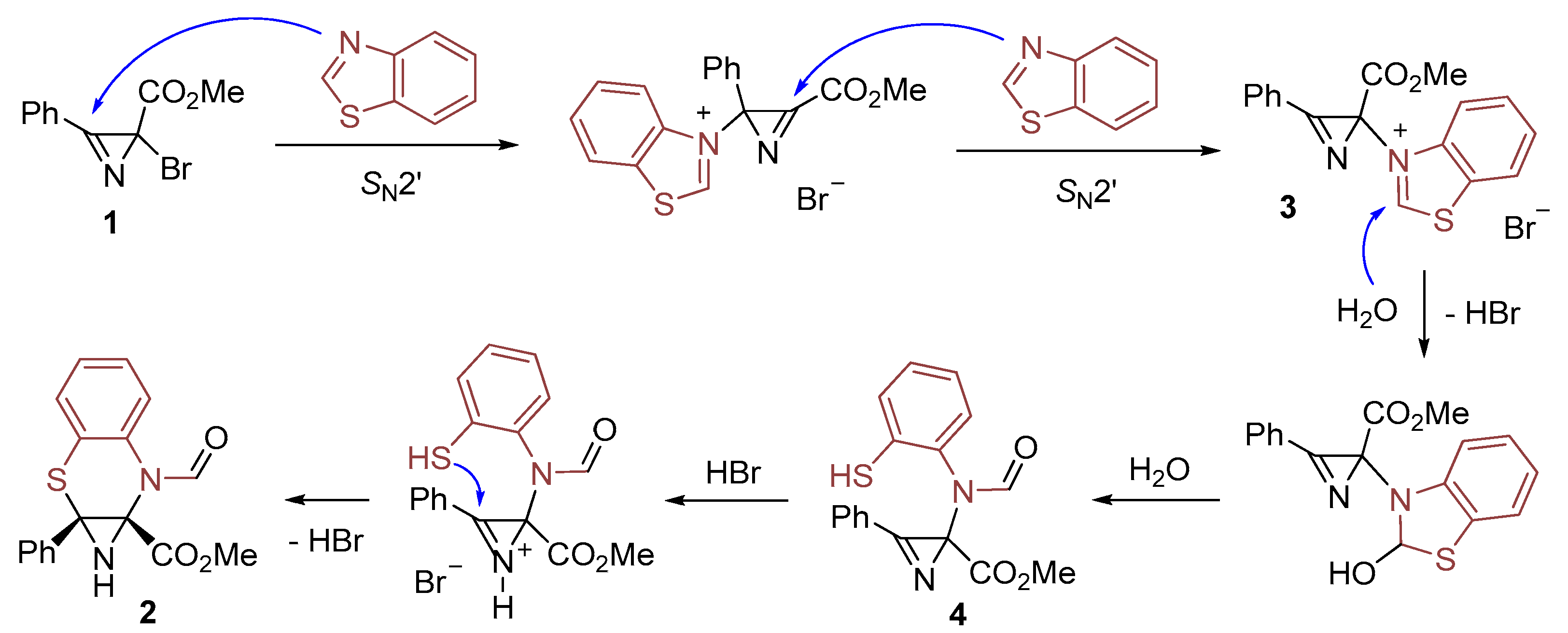 Molbank 2025 m2101 sch002
