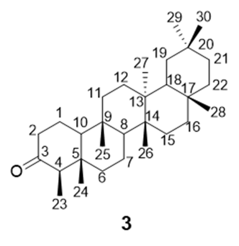 Molbank 2025 m2110 g002