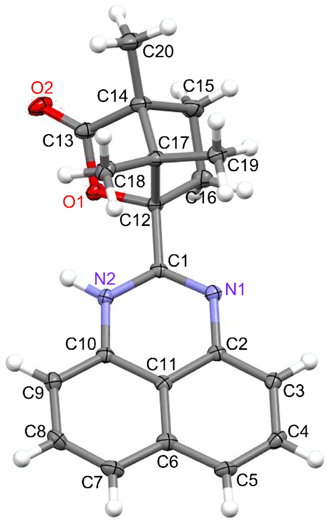Molbank 2025 m2111 g001