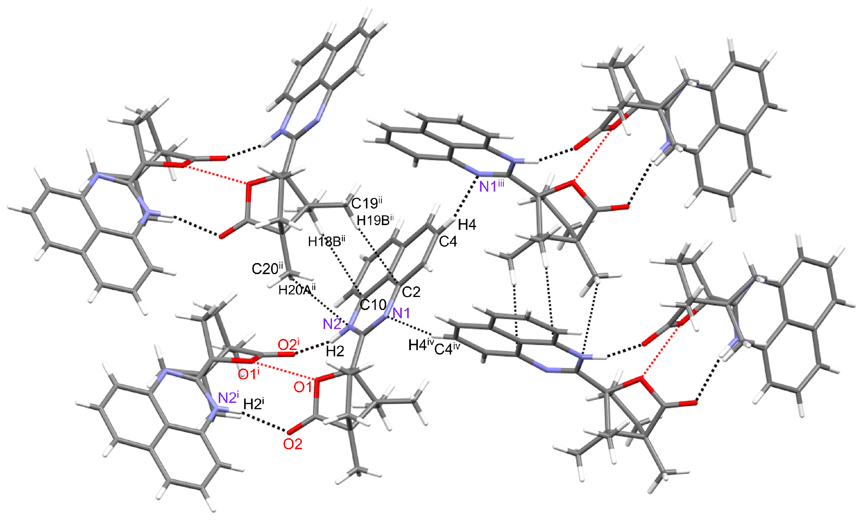 Molbank 2025 m2111 g002