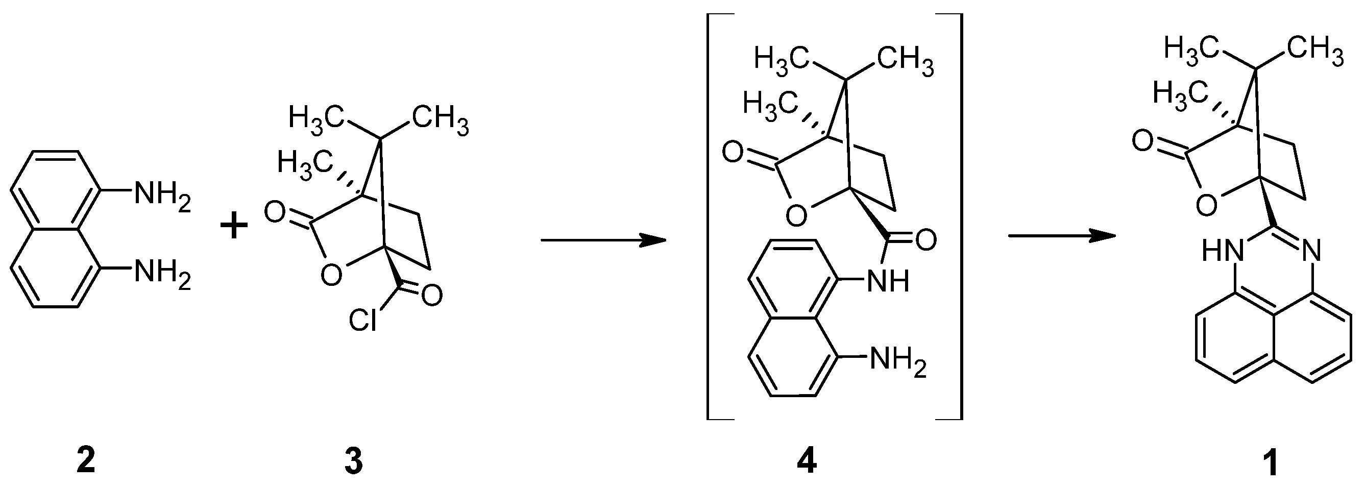 Molbank 2025 m2111 sch001