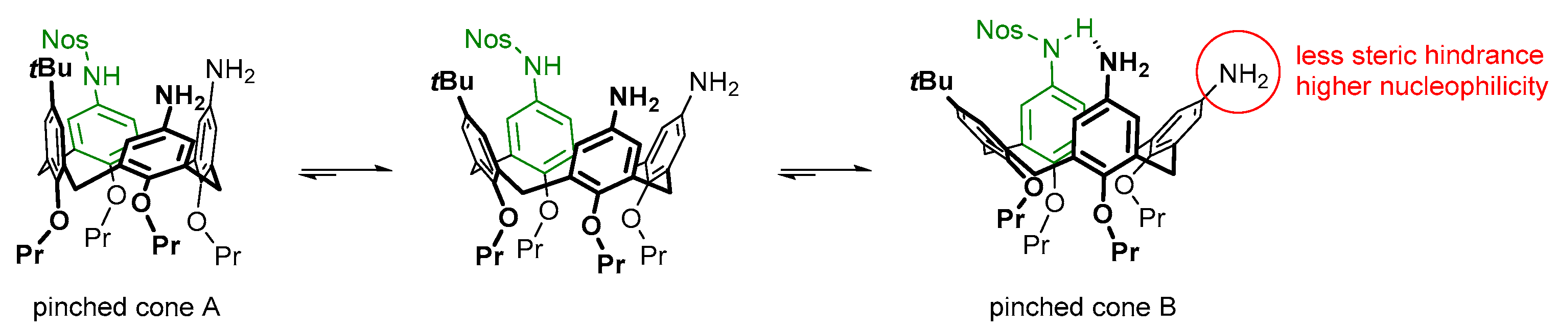 Molbank 2026 m2115 g002