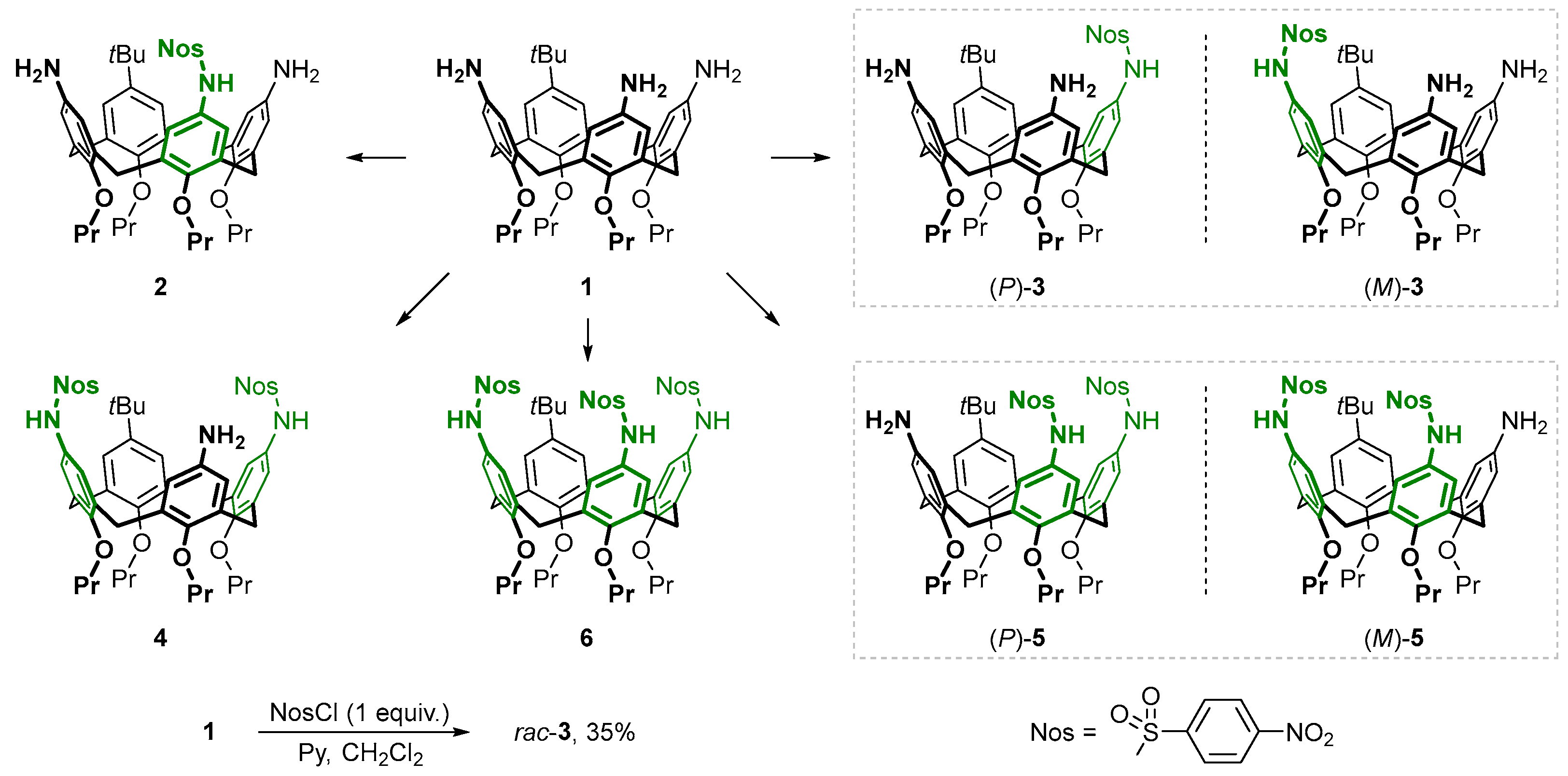 Molbank 2026 m2115 sch001