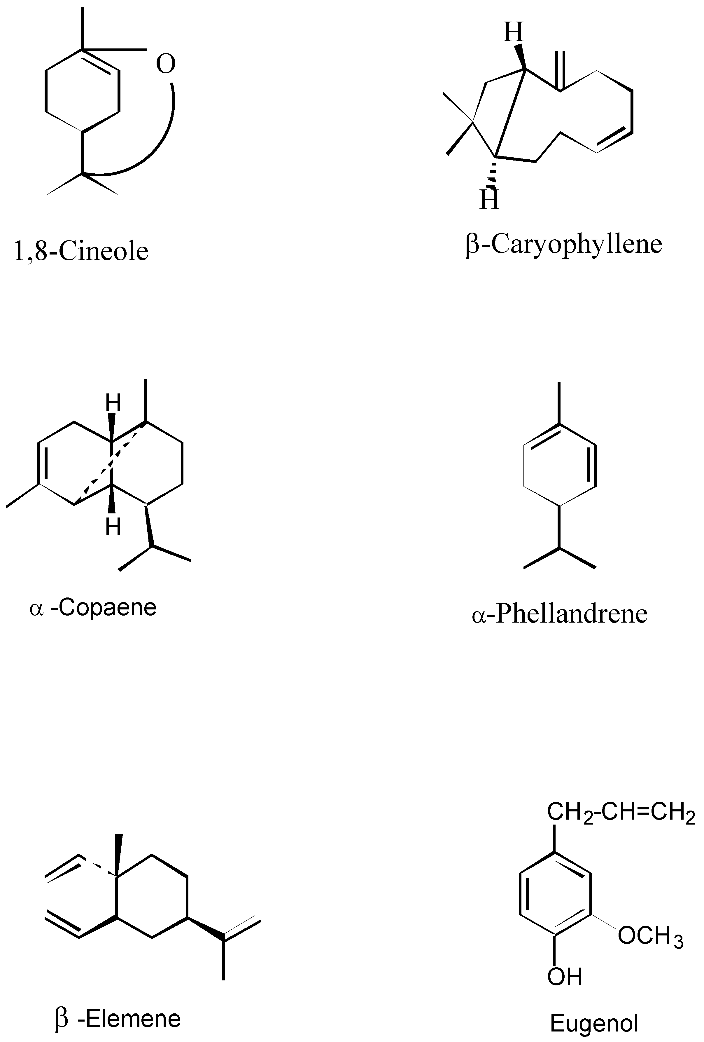 Molecules 02 00165 g001