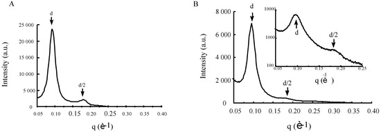 Molecules Free Full Text Supramolecular Bioorganic Chemistry Nucleic Acids Recognition And Synthetic Vectors For Gene Transfer
