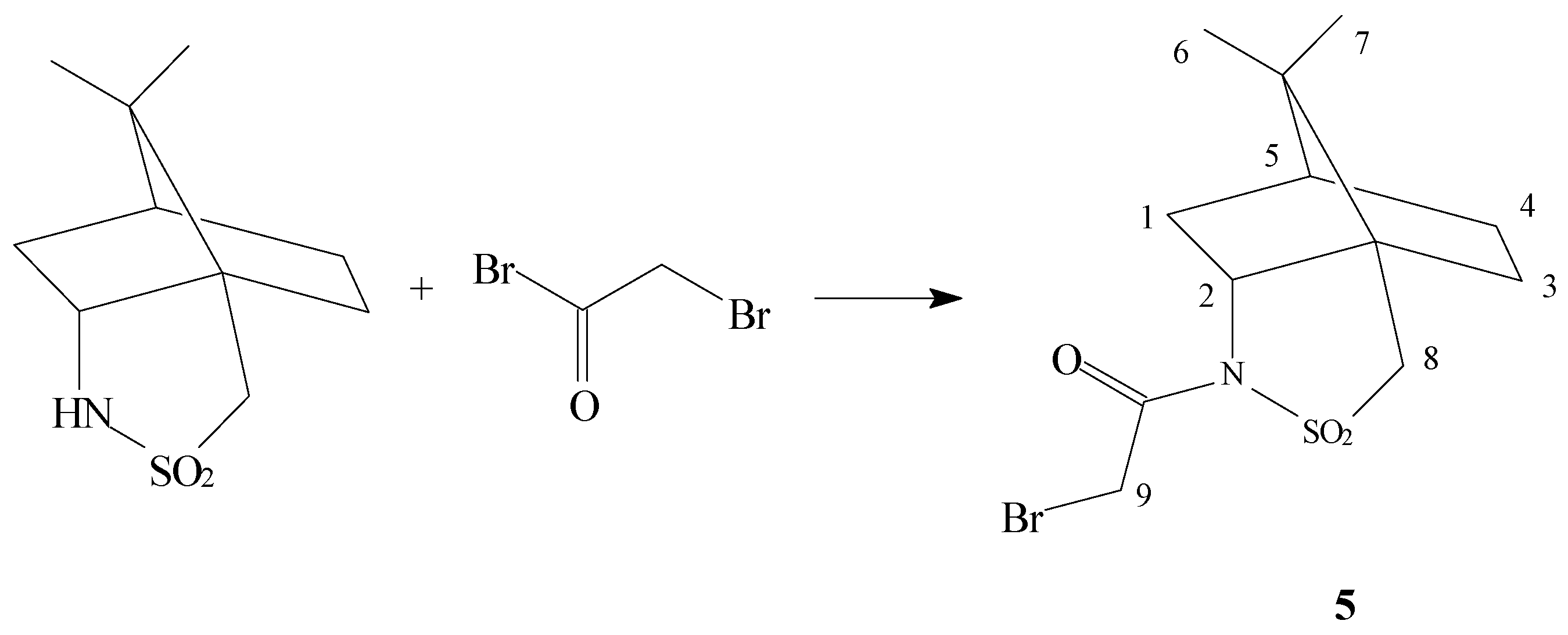 Molecules 04 00238 sch002 550