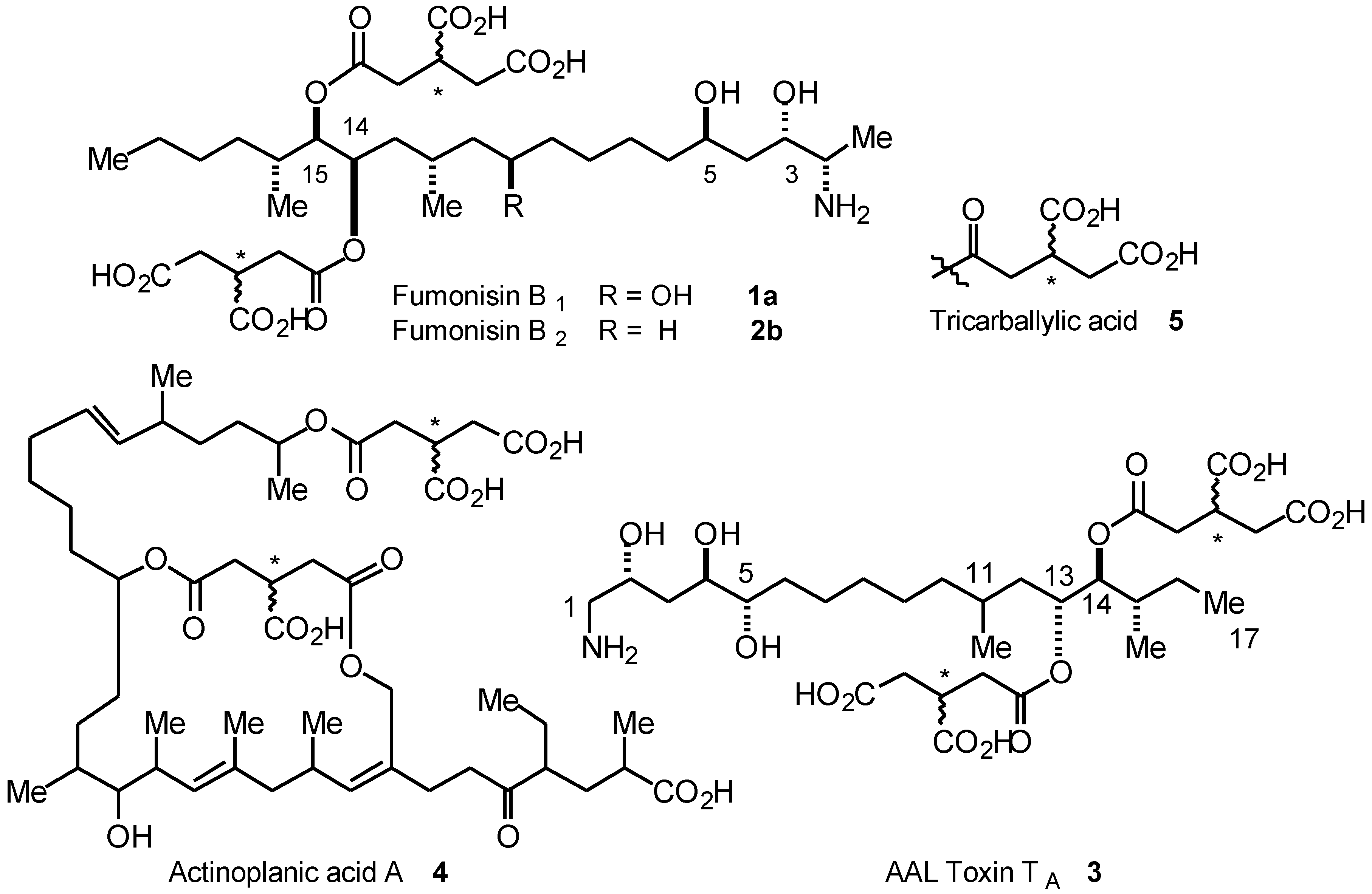 Molecules 05 00665 g001 550