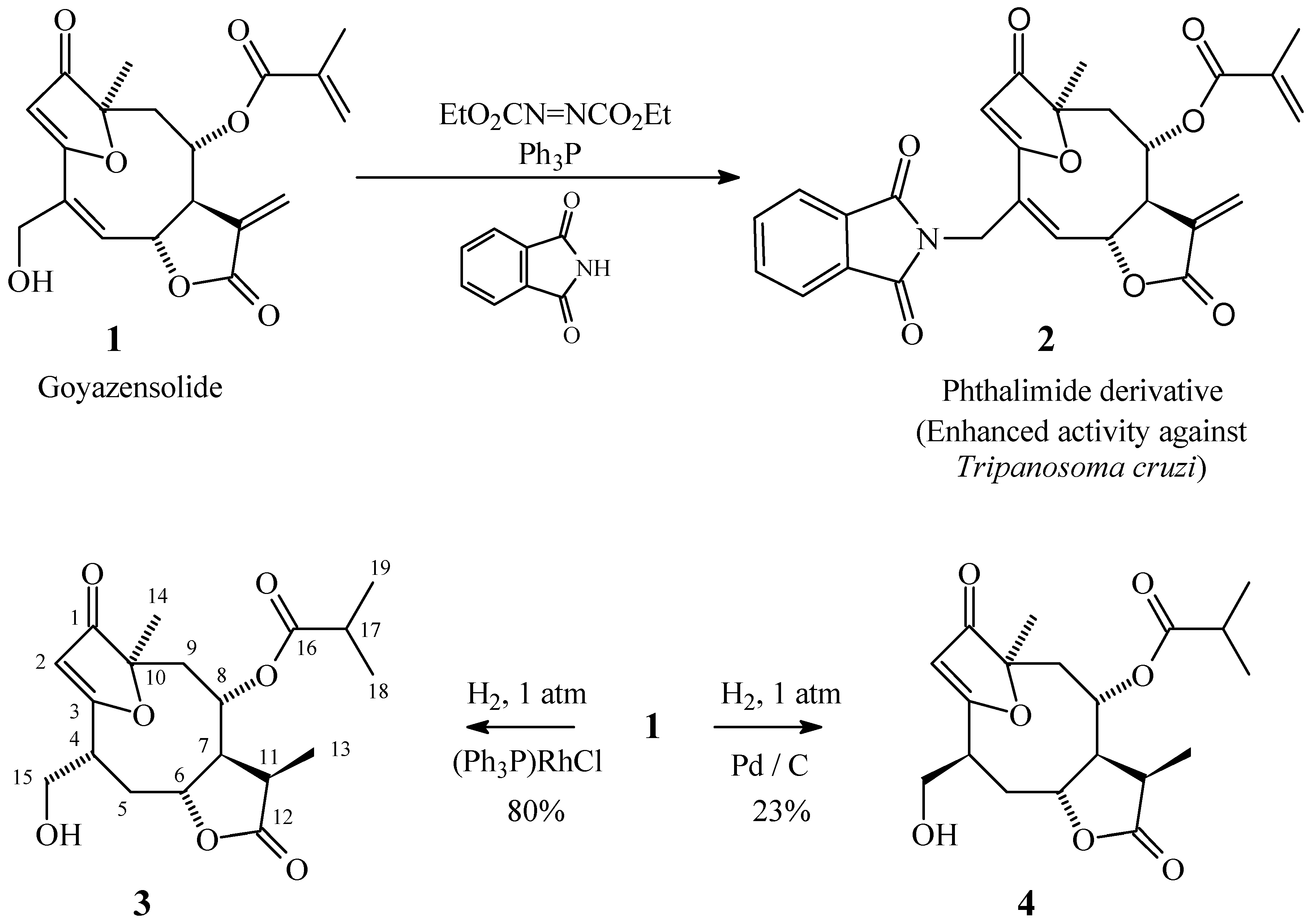 Molecules 05 00908 sch001