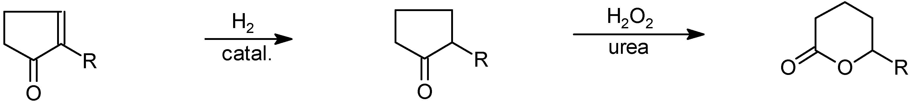 Molecules 05 01201 sch016 550
