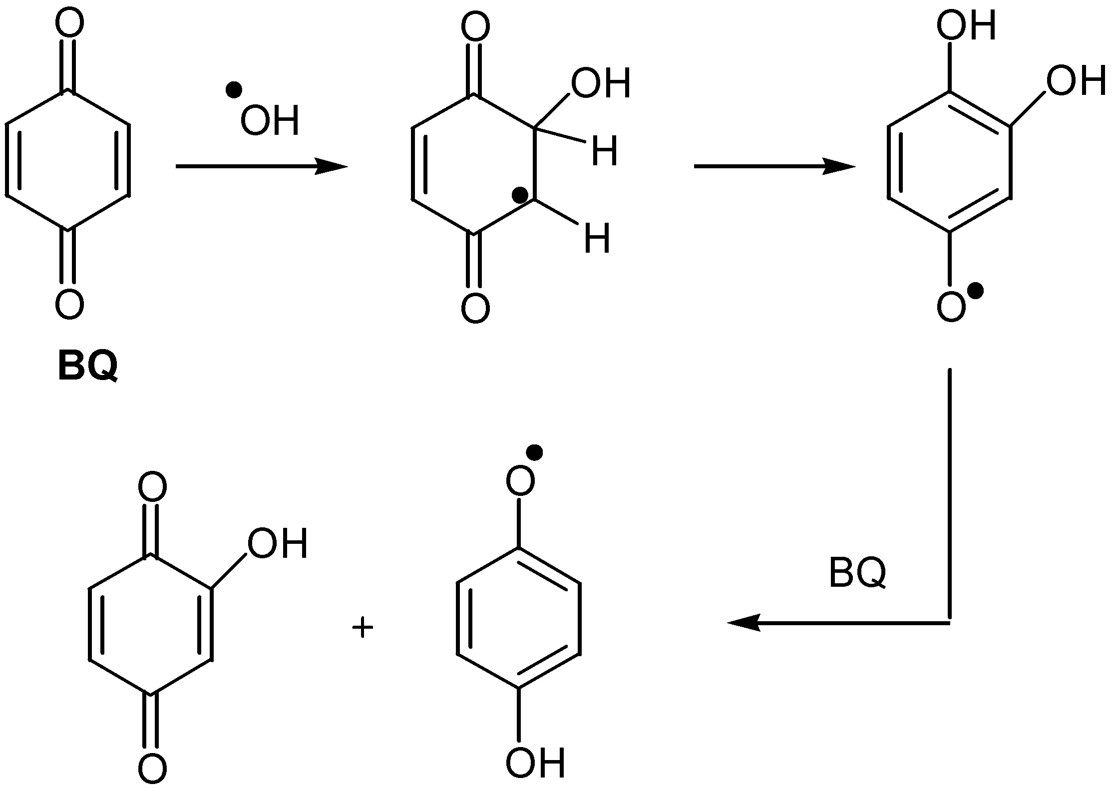 Molecules 05 01291 sch025