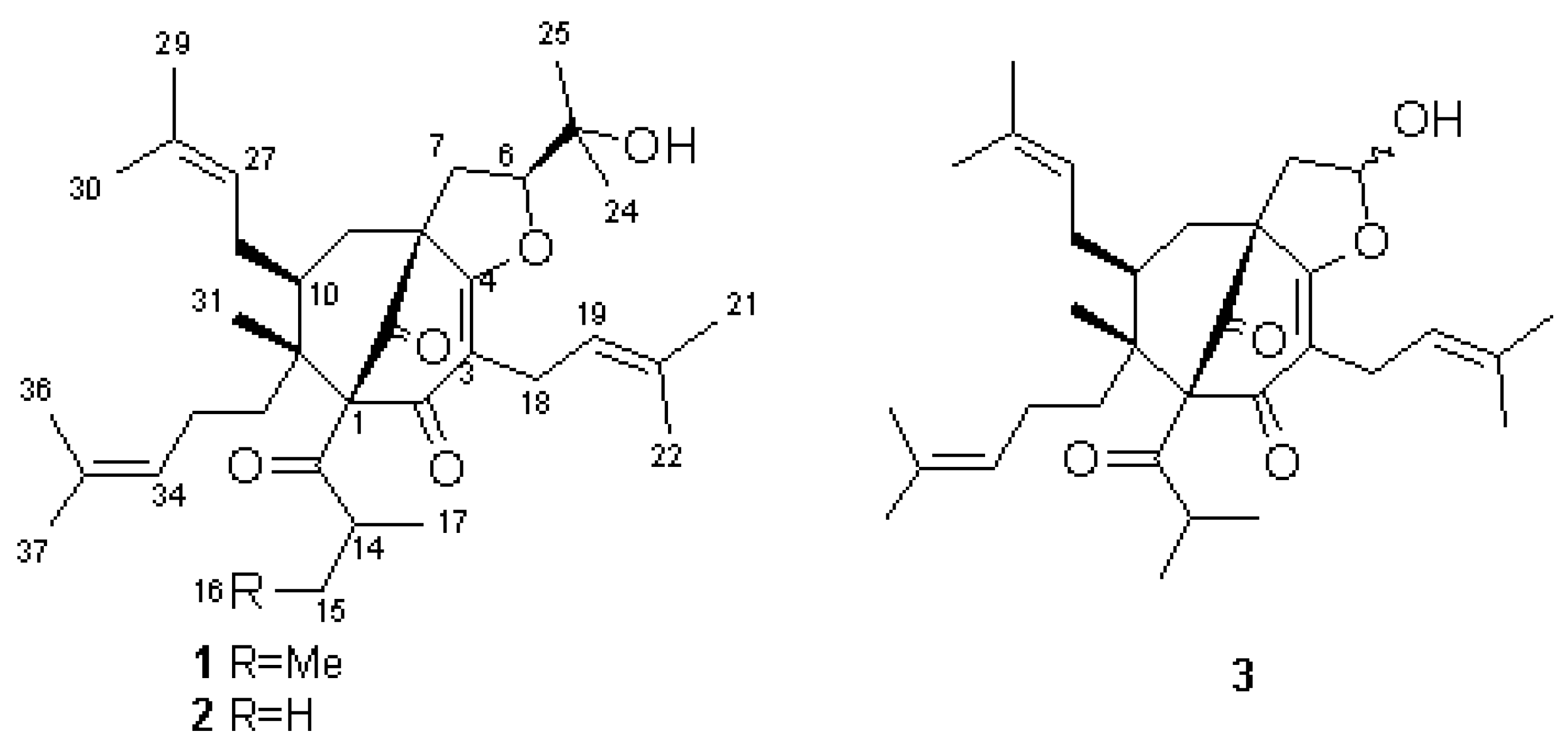 Molecules 05 m158 i001
