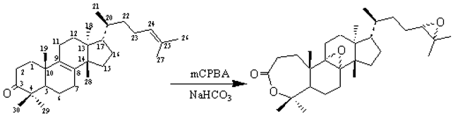 Molecules 05 m172 i001