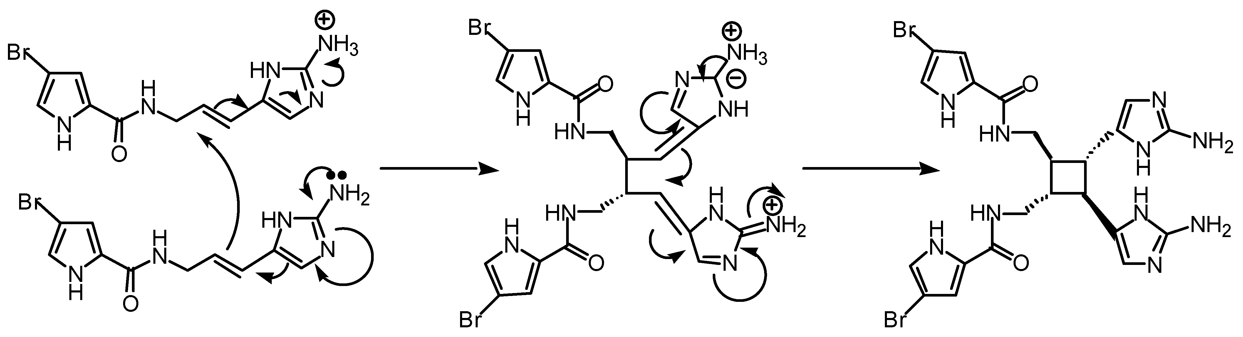 Molecules 06 00130 g006 550