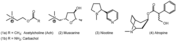 Molecules 06 00142 i001