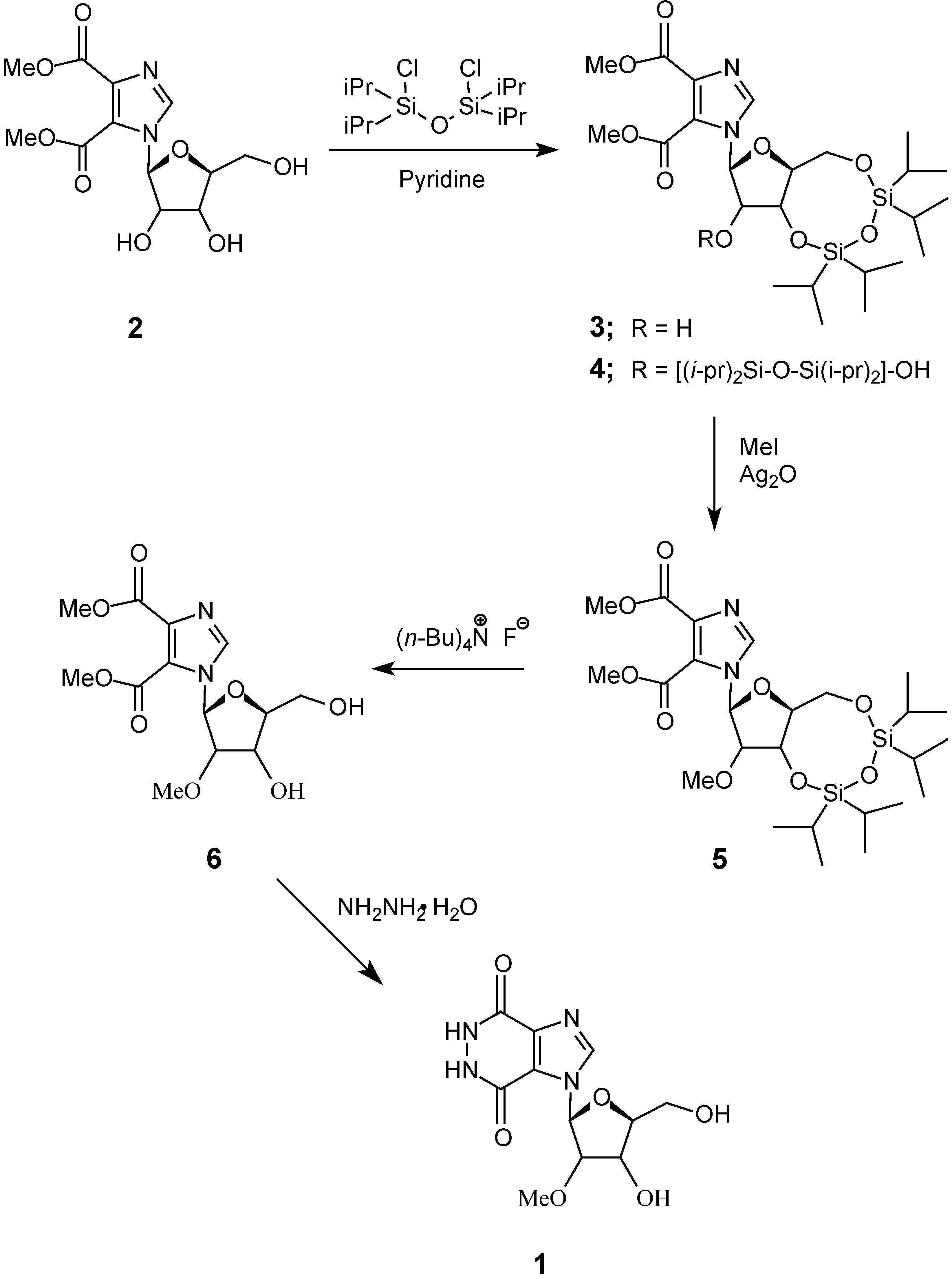 Molecules Free Full Text Synthesis Of 1 2 O Methyl Ss D Ribofuranosyl 1h Imidazo 4 5 D Pyridazine 4 7 5h 6h Dione An Attractive Building Block For Antisense And Triple Helical Applications Html