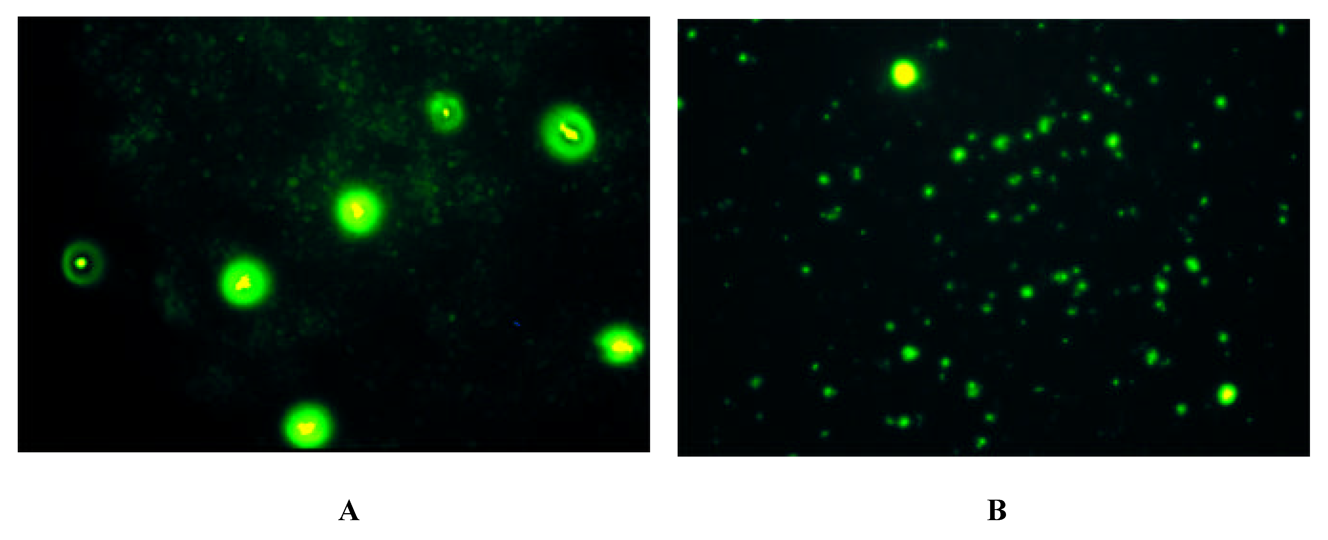 Molecules 06 00448 g002a