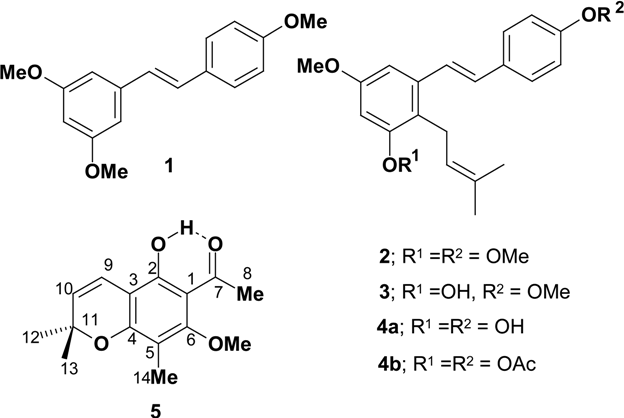 Molecules 06 00663 i001