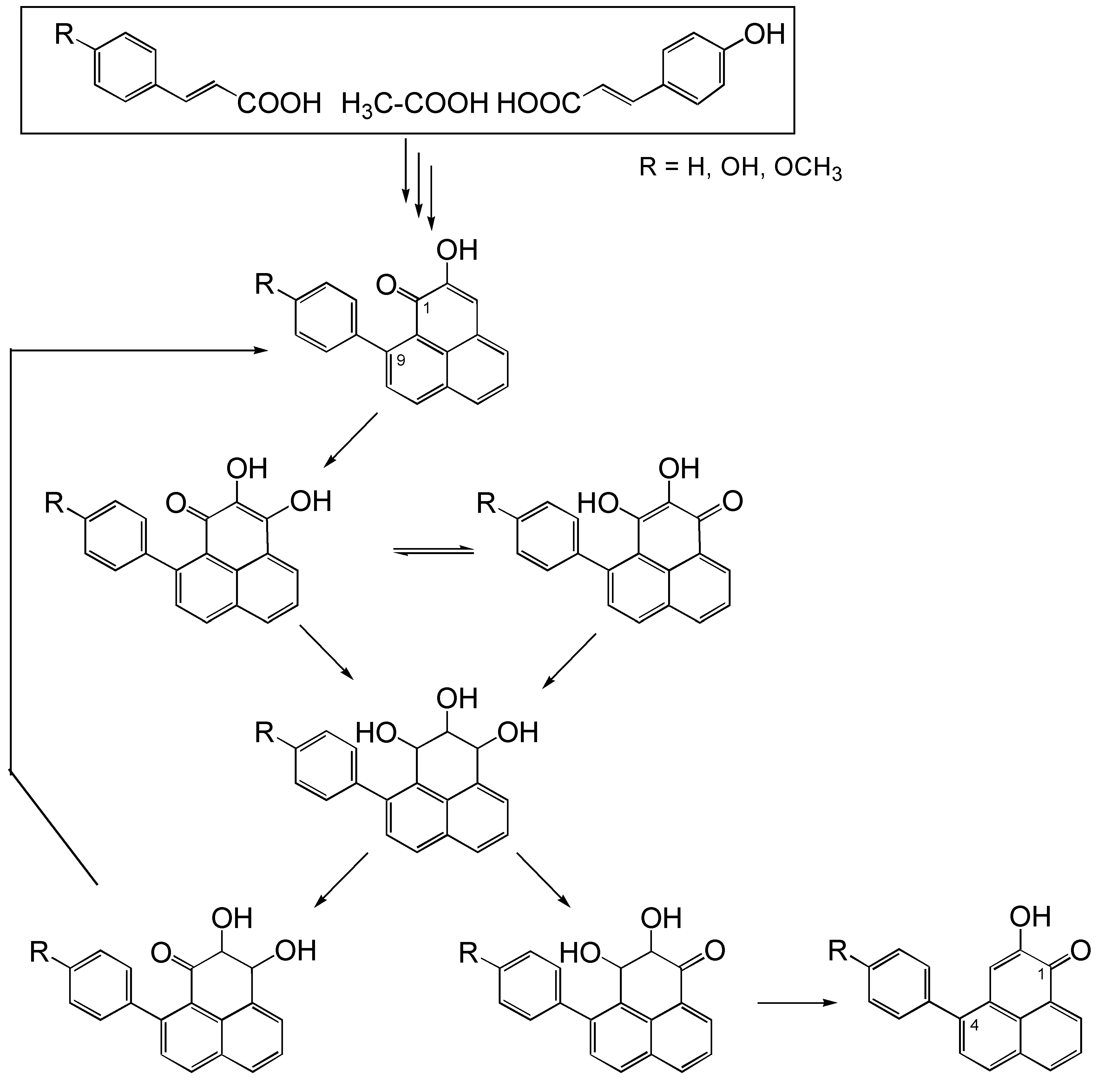 Molecules 07 00331 g003