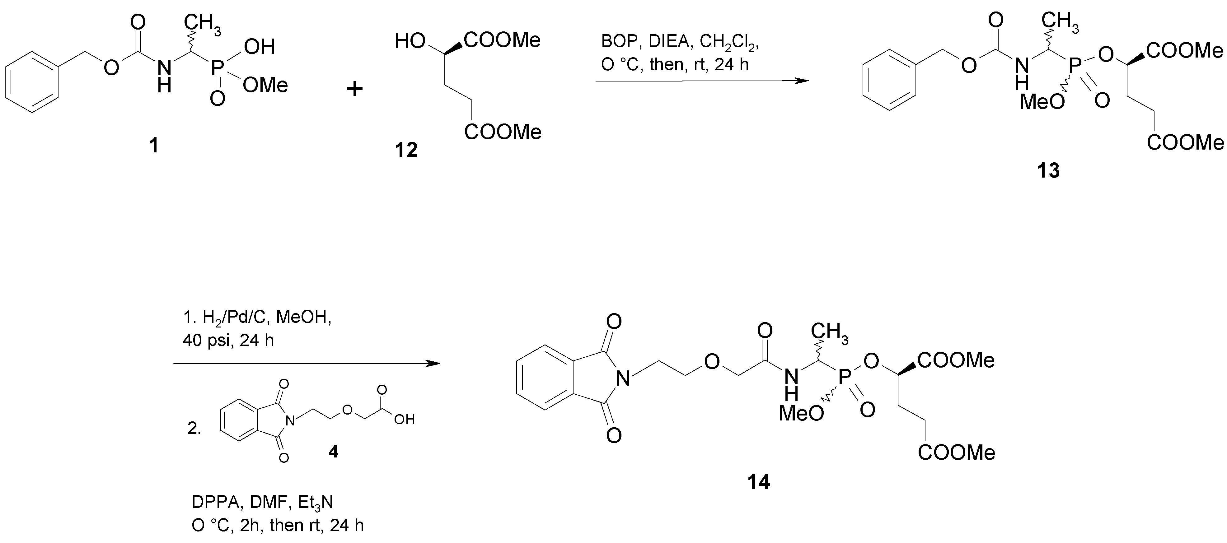 Molecules 07 00394 g005