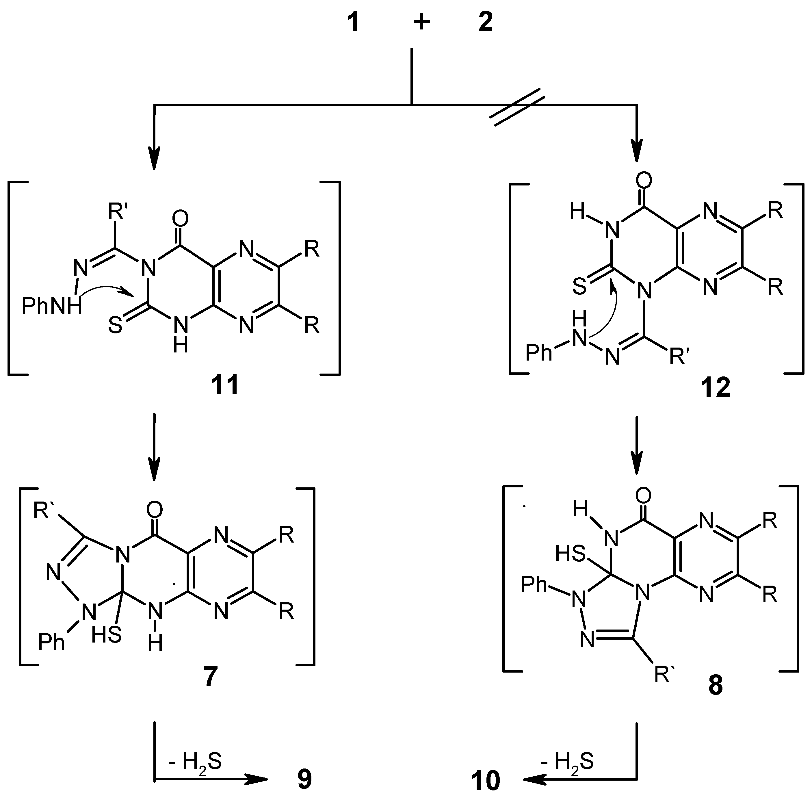 Molecules 07 00494 g003