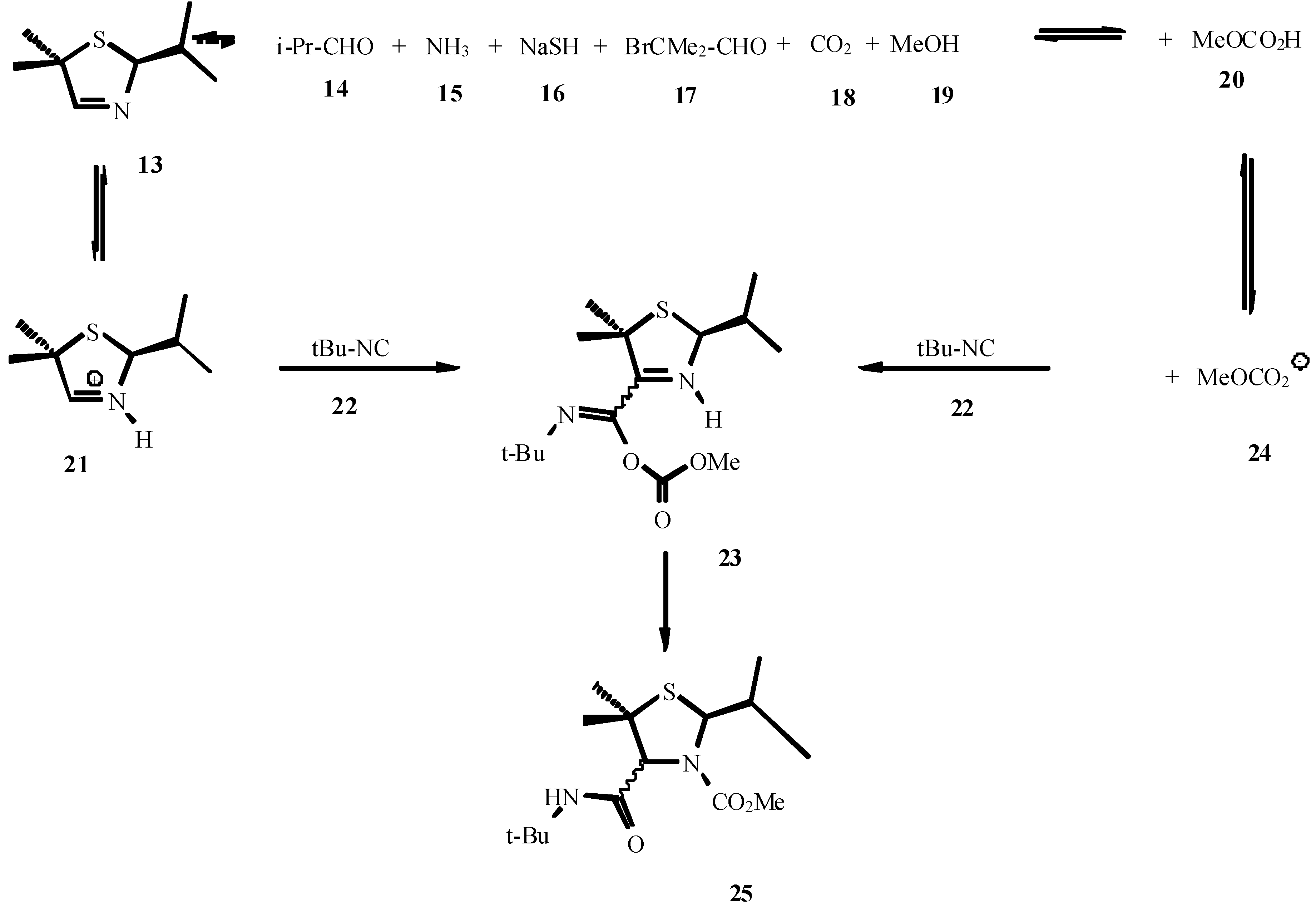 Molecules 08 00053 g007