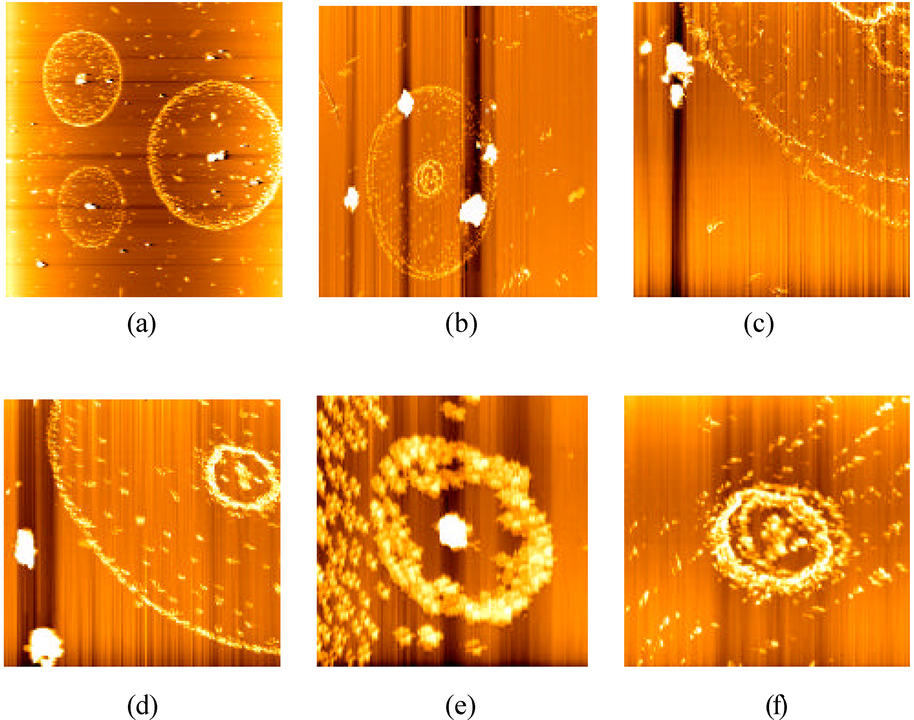 Molecules 08 00086 g002 550