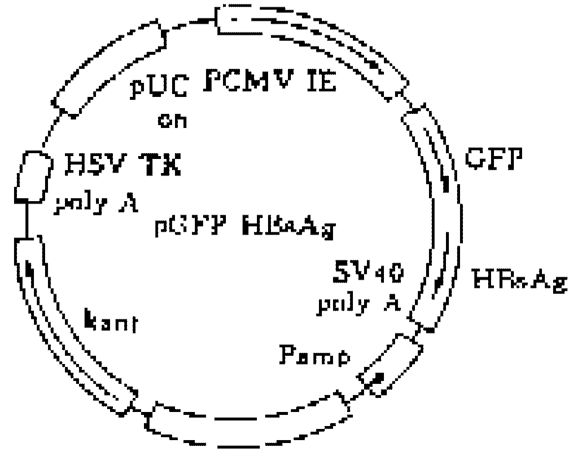 Molecules 08 00120 g001 550