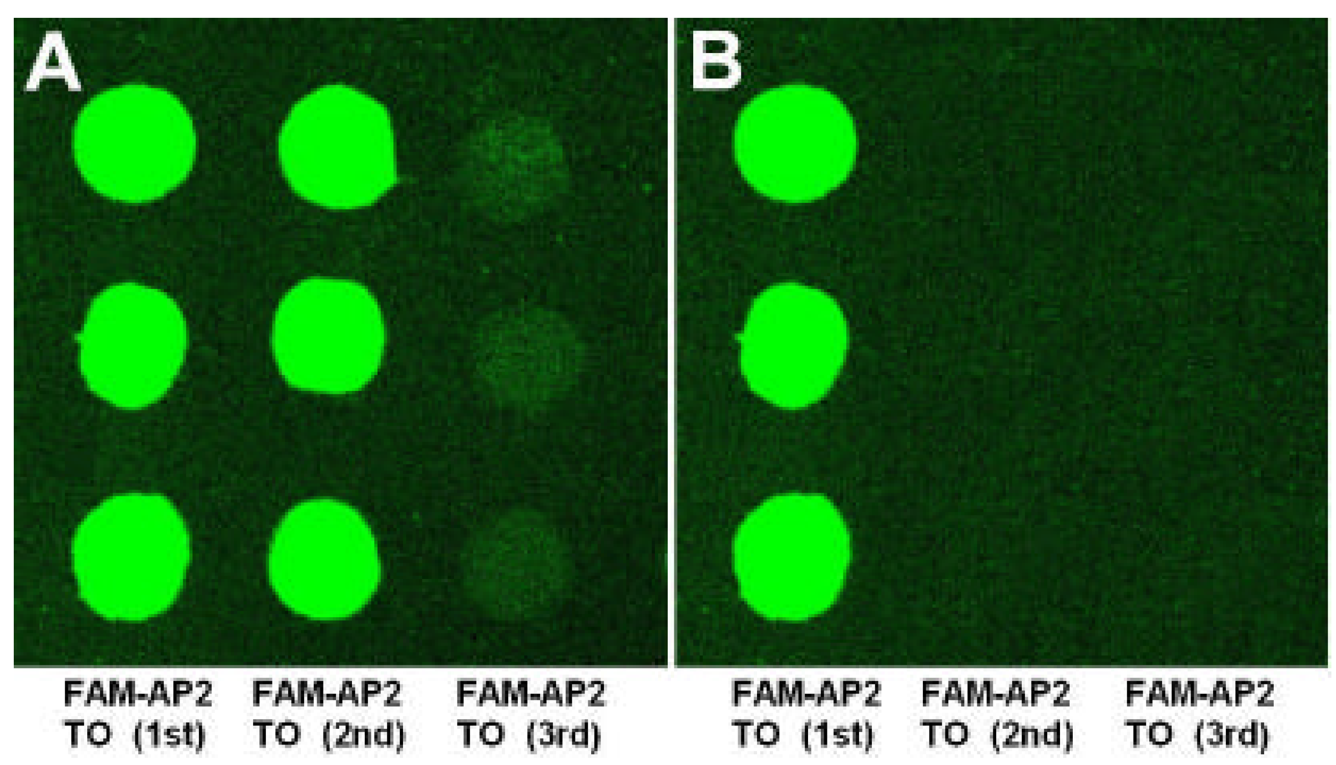 Molecules 08 00153 g002 550
