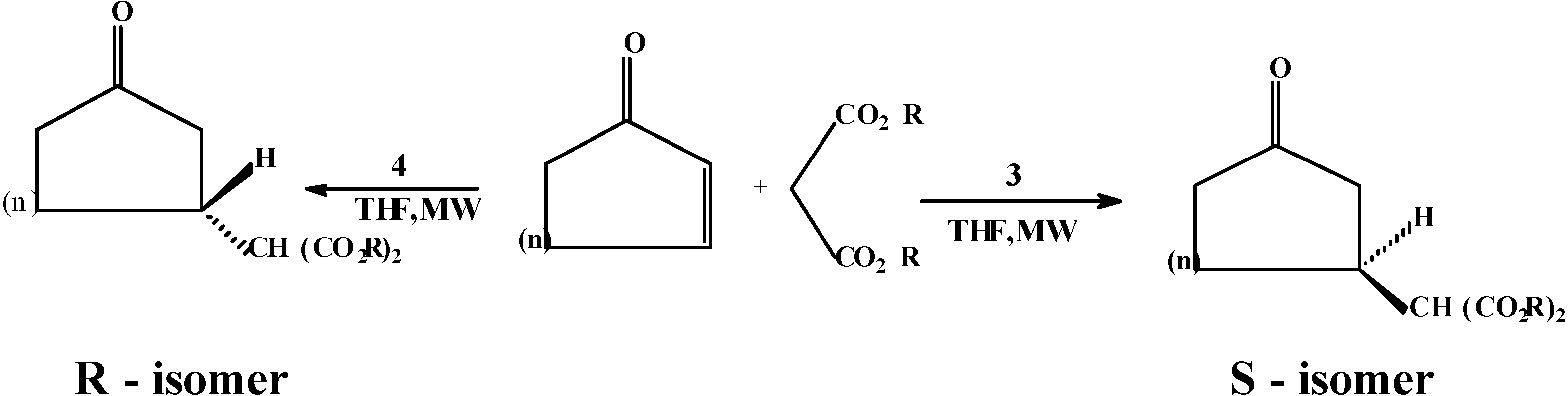 Molecules 08 00256 g002