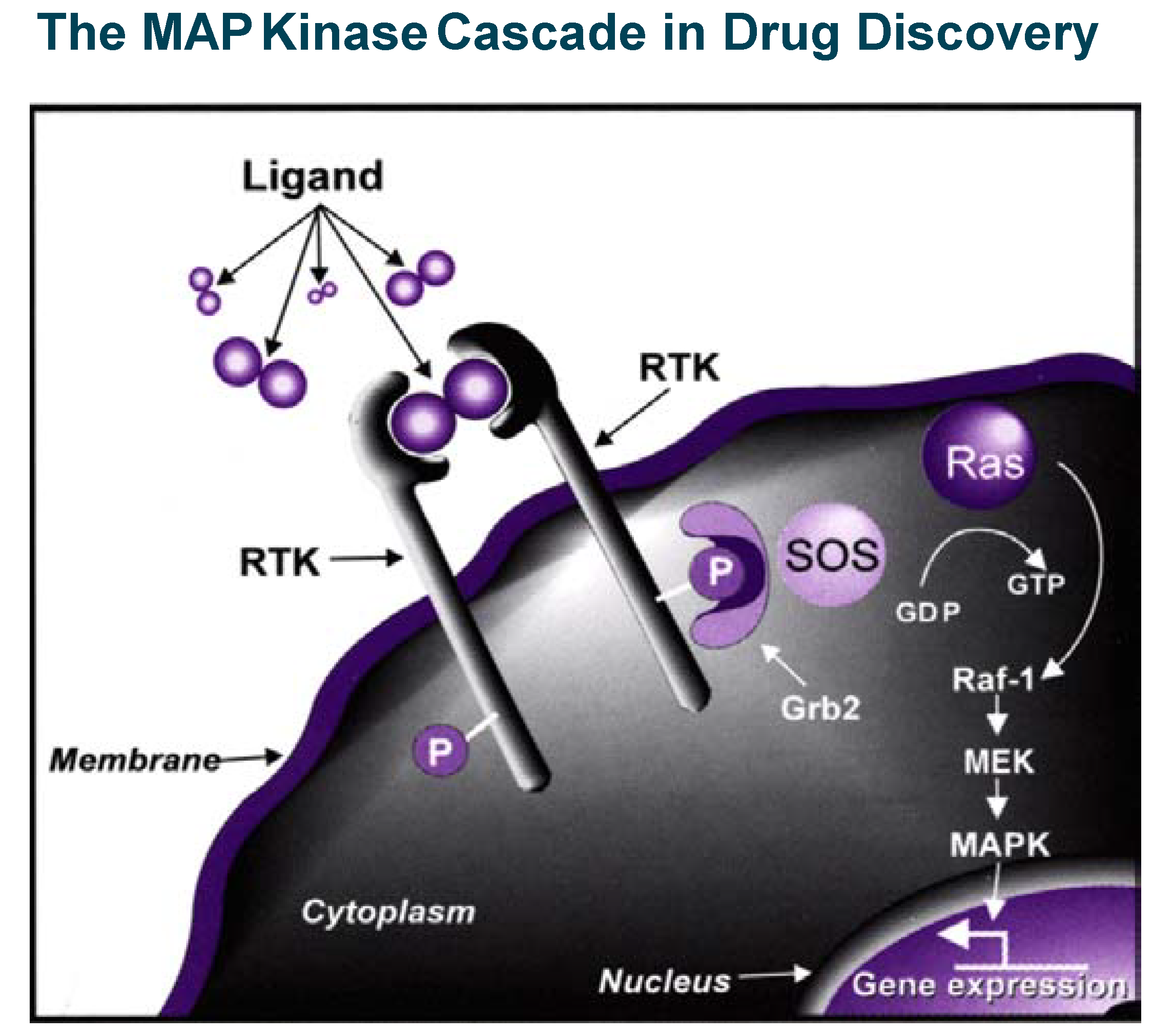 Molecules 08 00349 g005