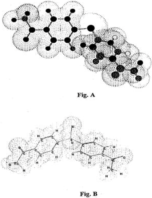 Molecules 08 00622 i001