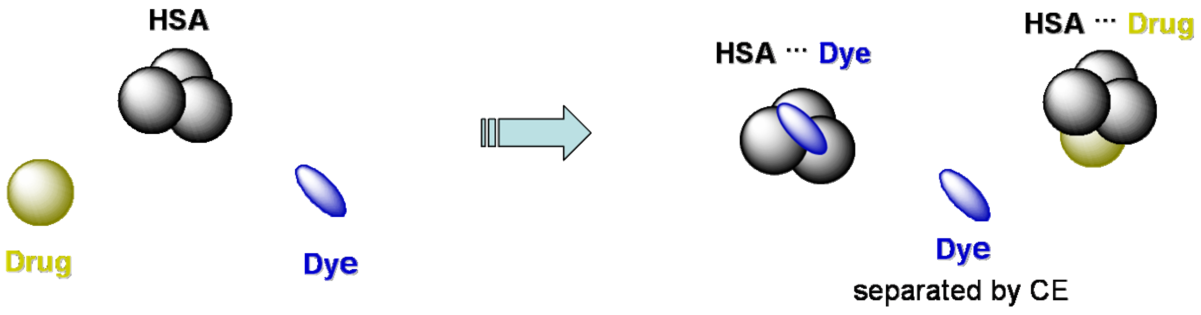 Molecules 09 00040 g003