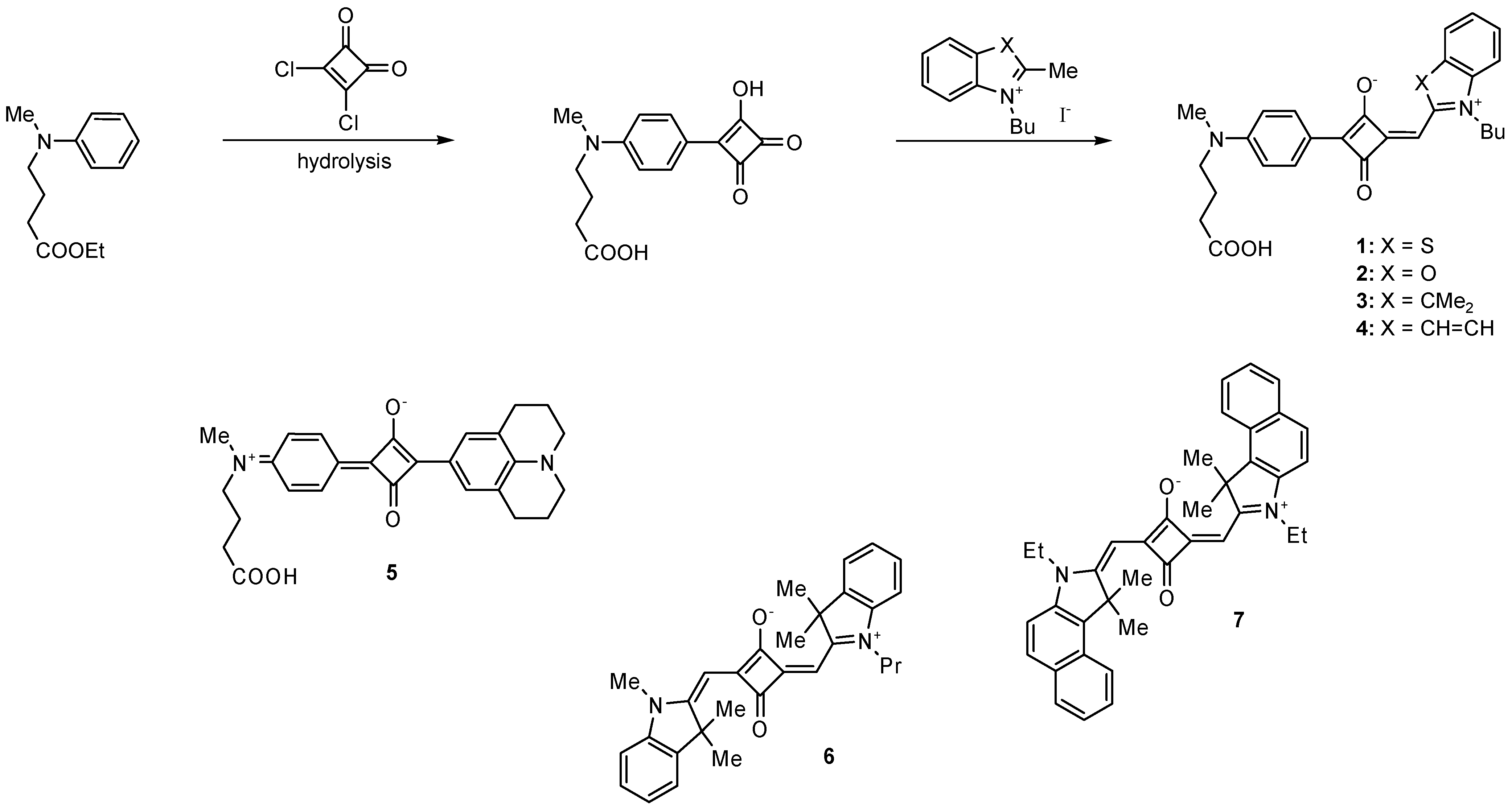 Molecules 09 00040 g004