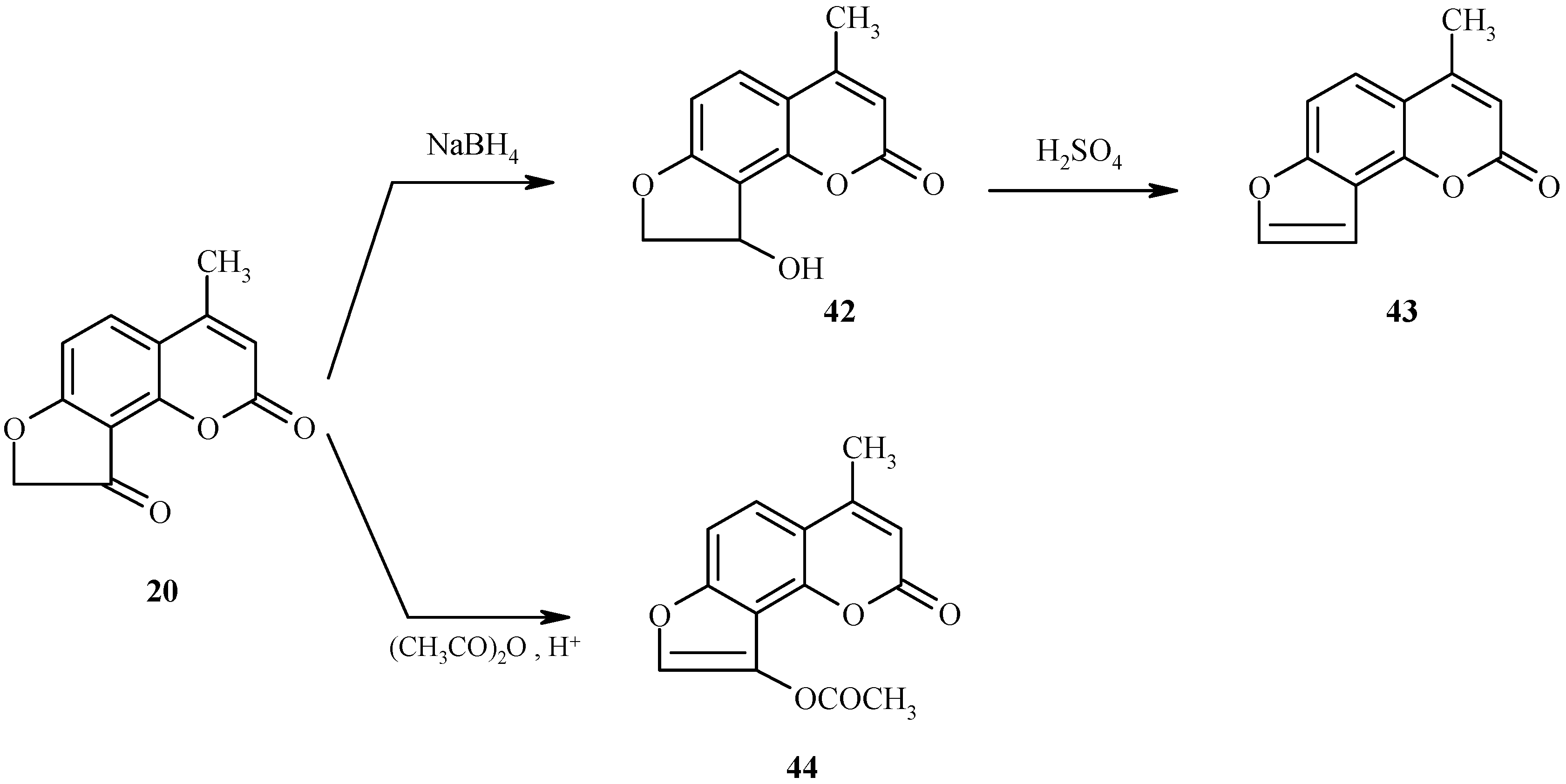 Molecules 09 00050 g019 550