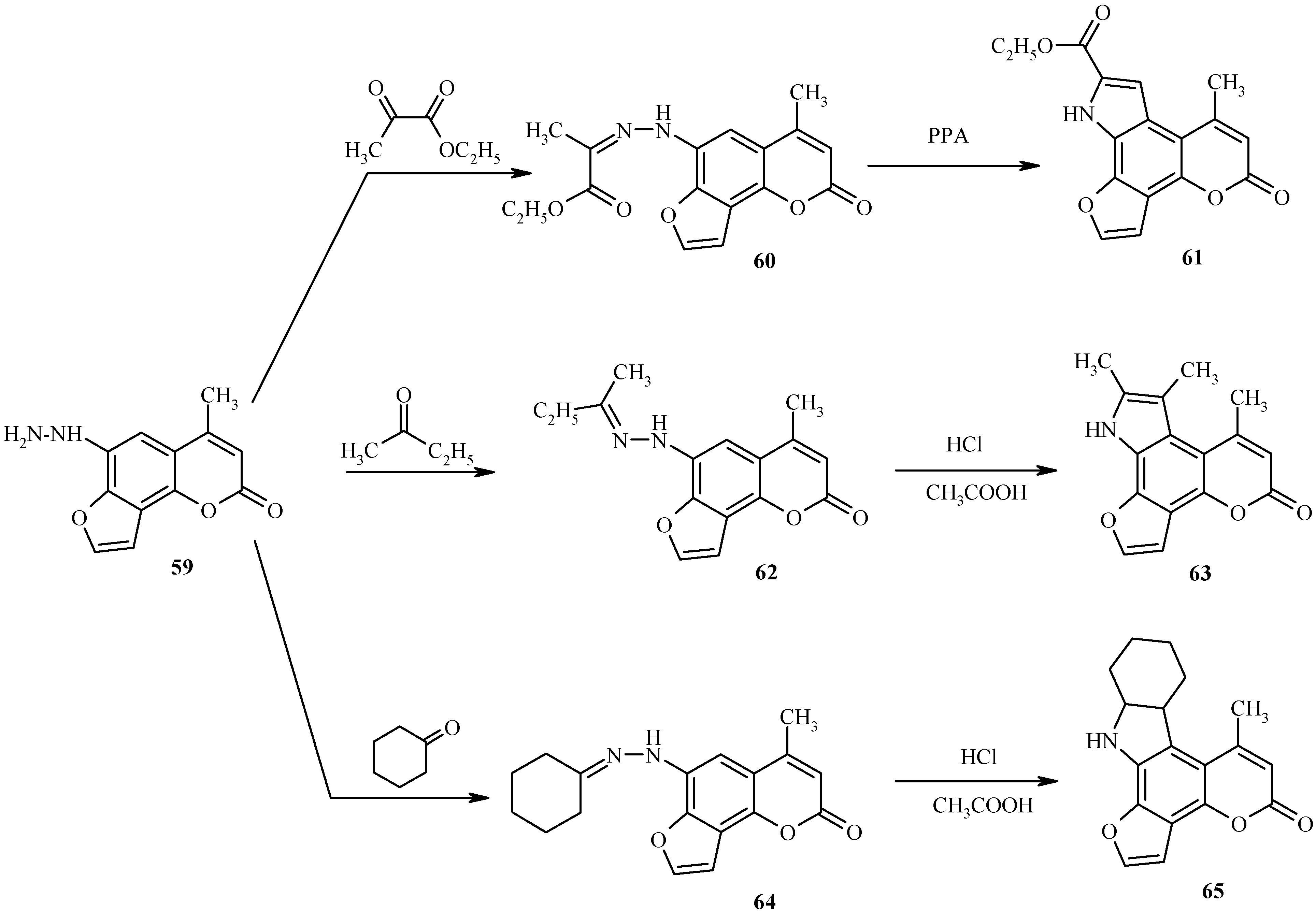 Molecules 09 00050 g029 550