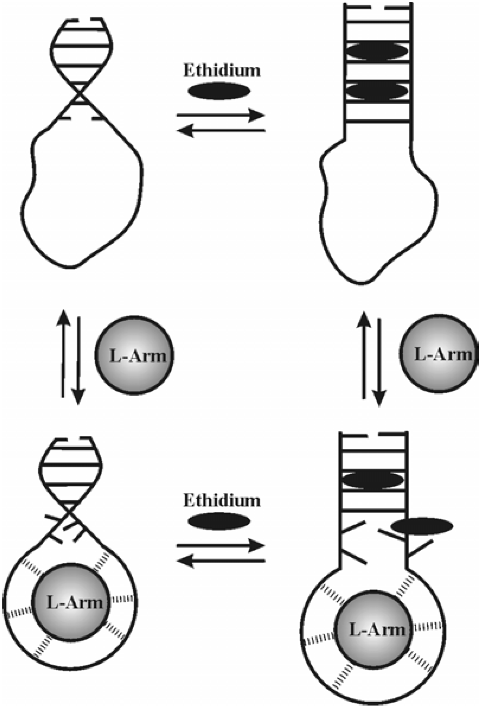 Molecules 09 00067 g006 550
