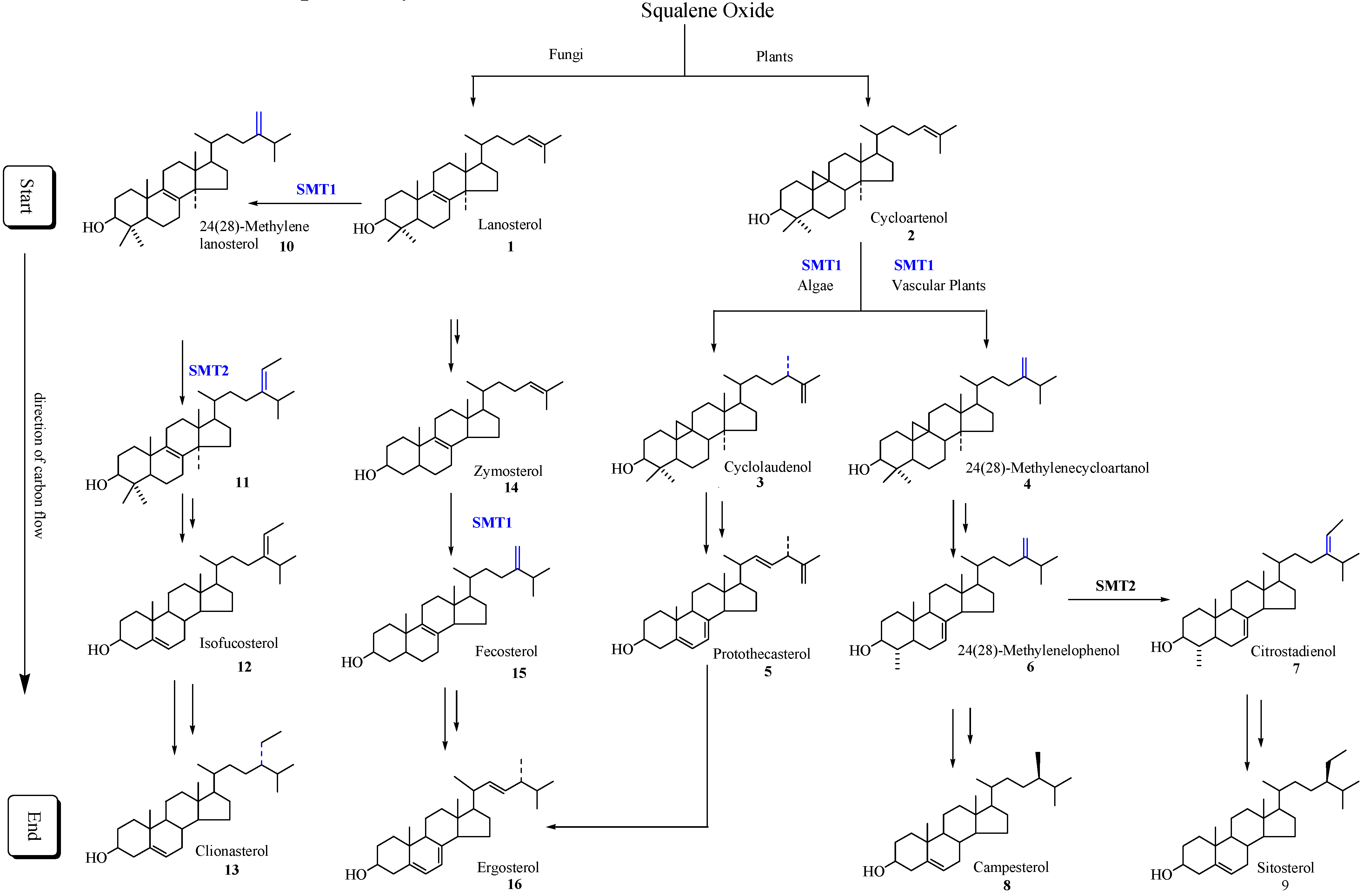 Molecules 09 00185 g005 550