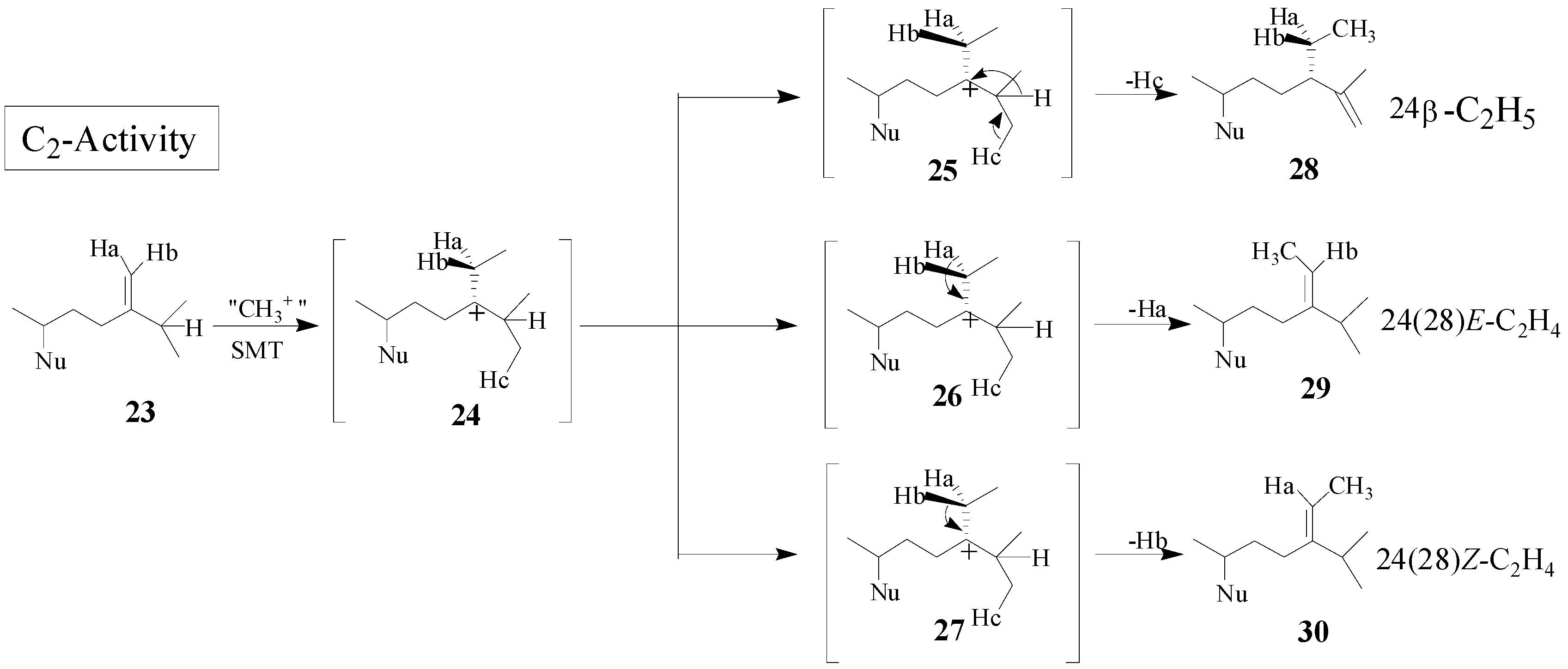 Molecules 09 00185 g007 550