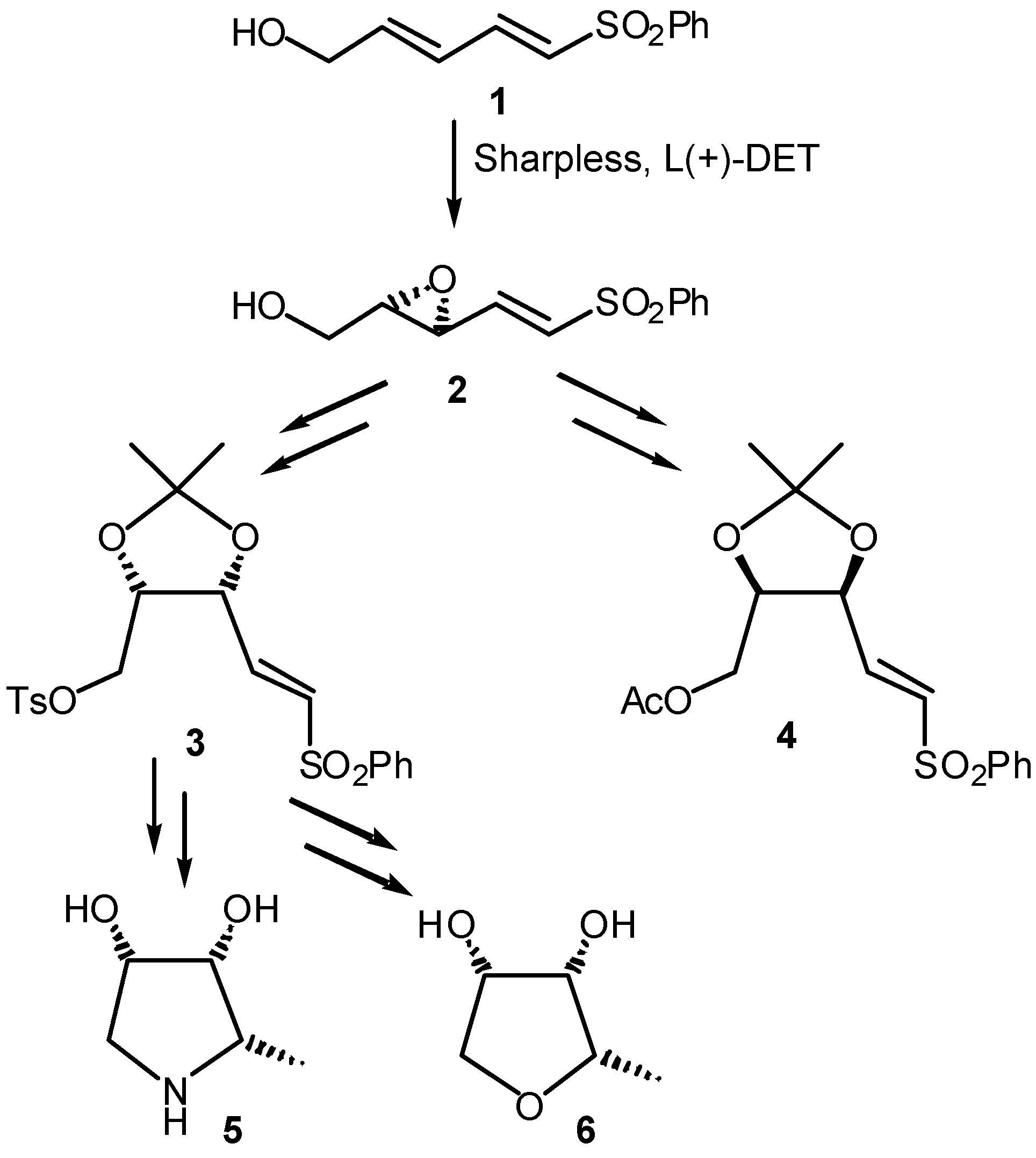 Molecules 09 00323 g001 550