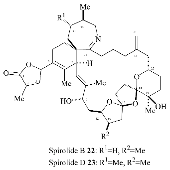 Molecules 09 00394 i002