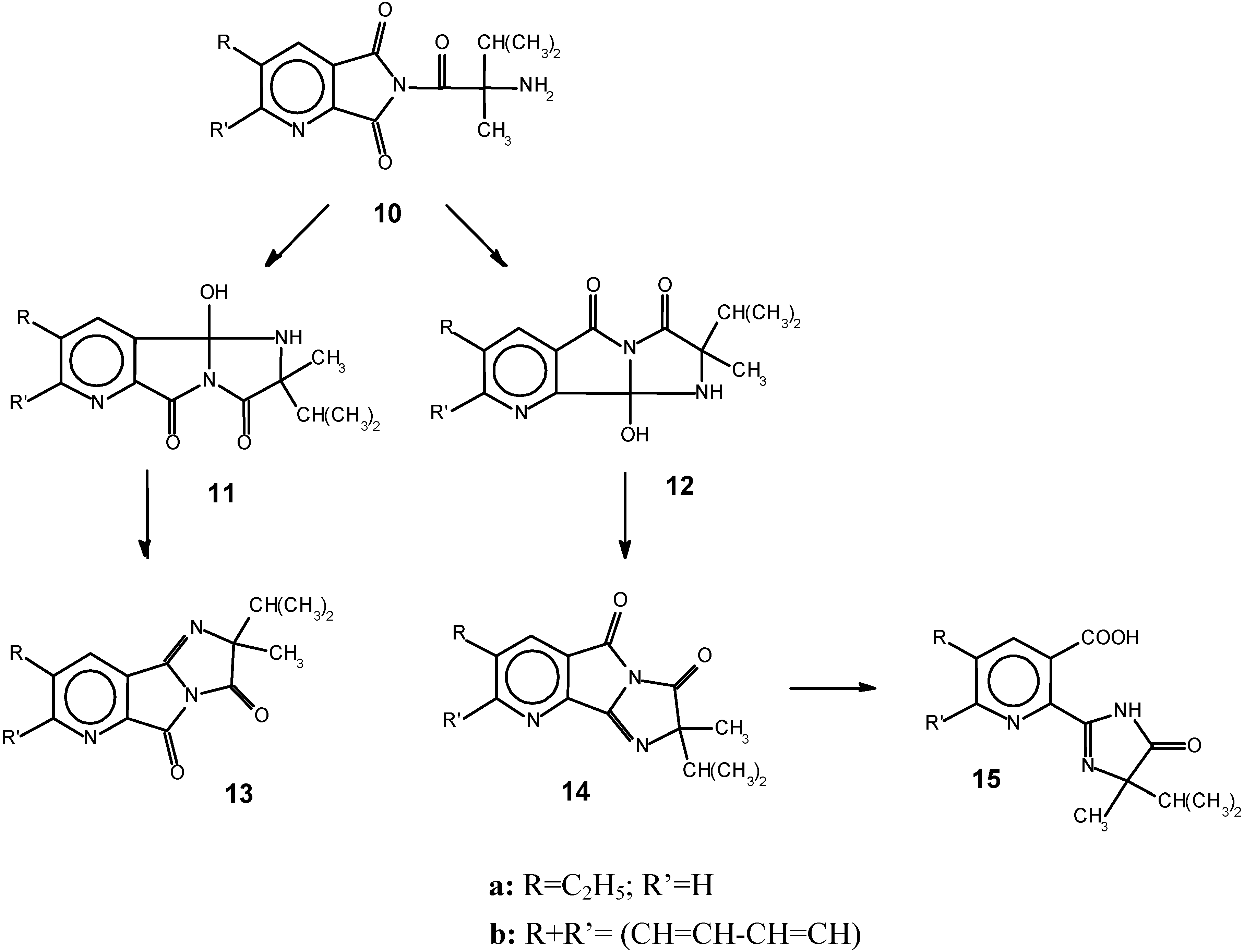 Molecules 09 00535 g002b