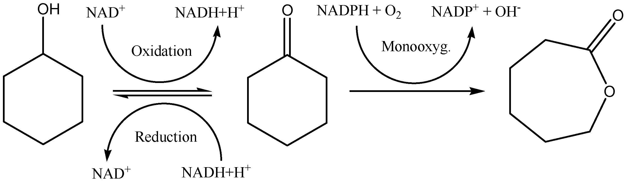 Molecules 09 00673 g009 550
